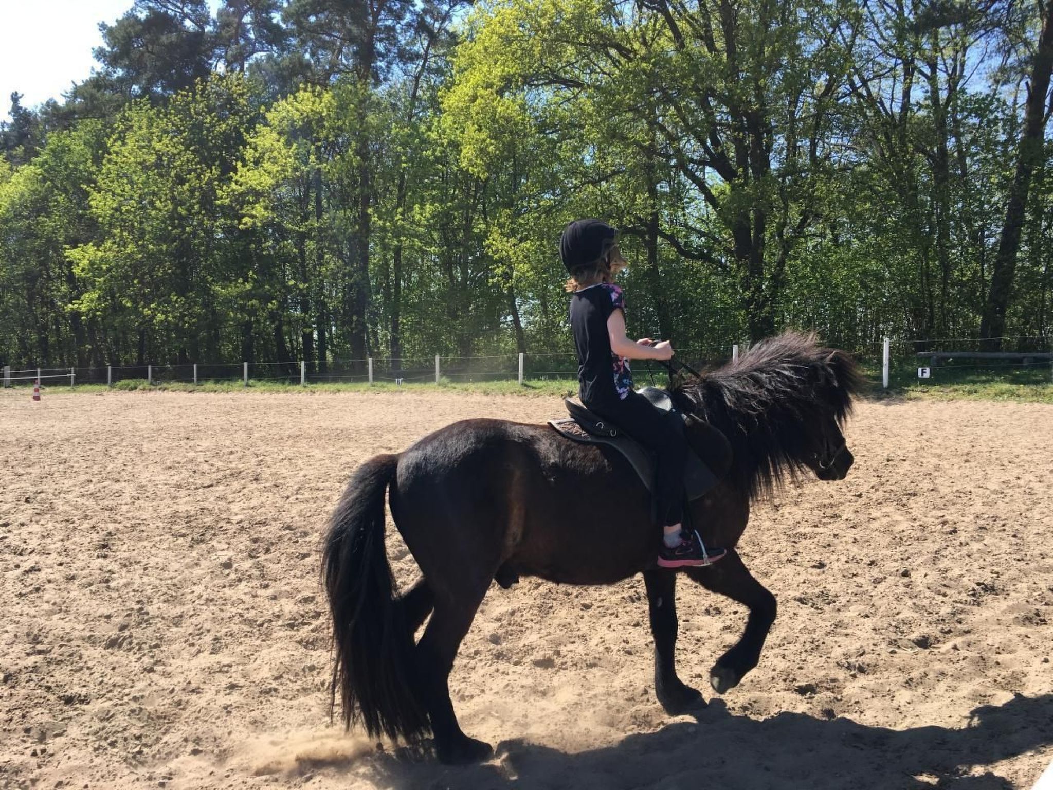 Müritz Ferienhaus-Binnen