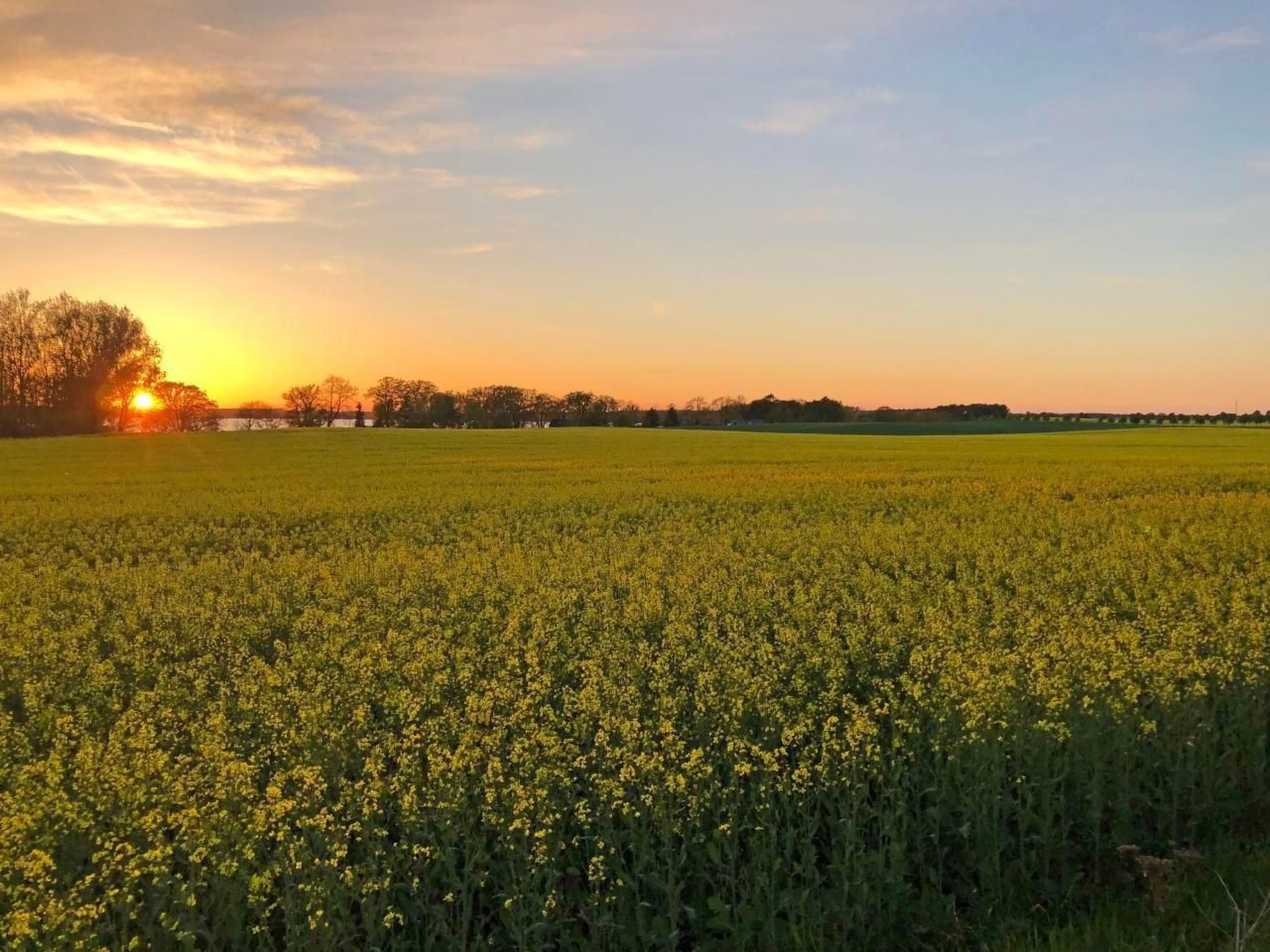 Müritz Ferienhaus-Binnen