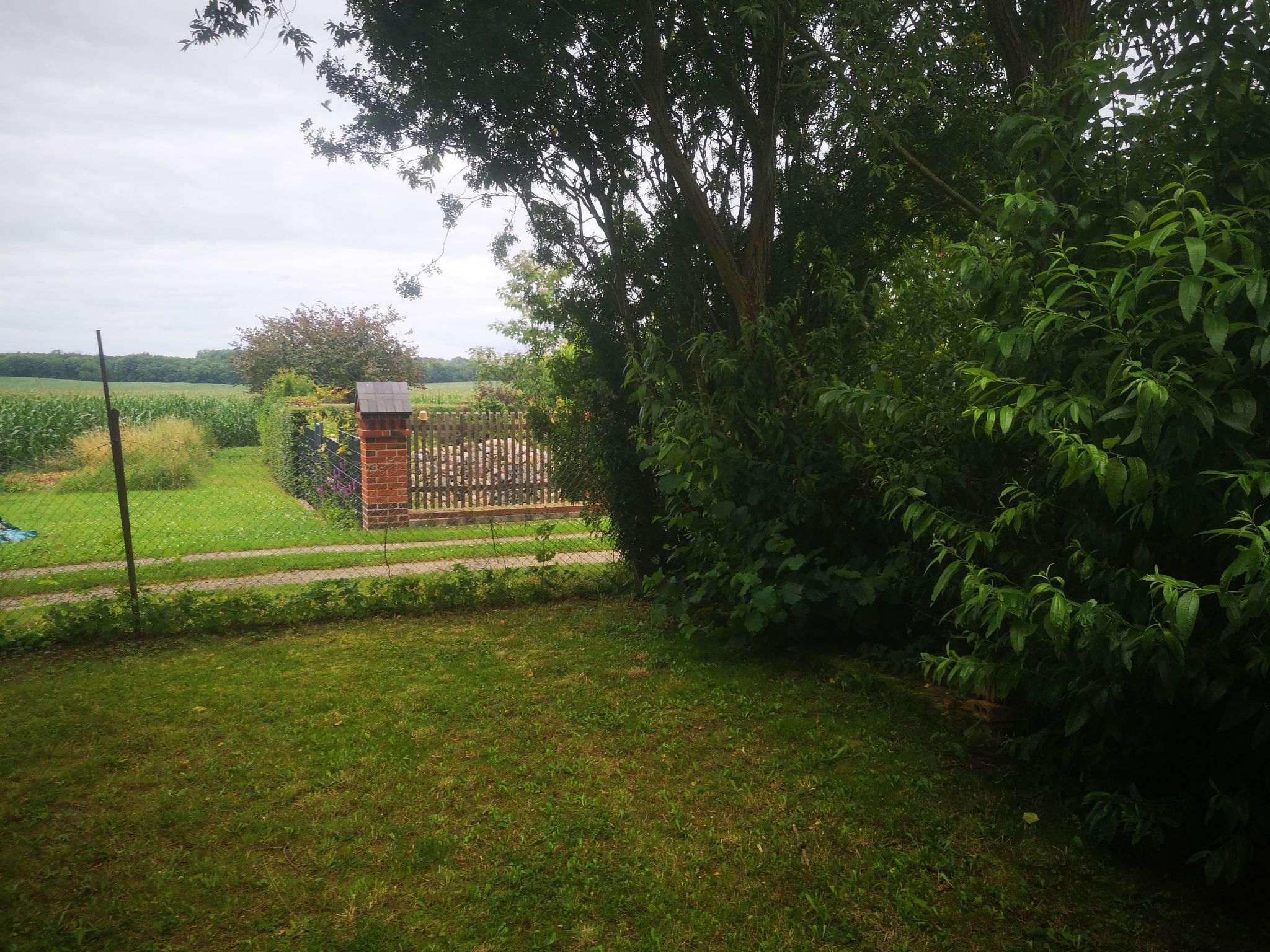 Landurlaub Mecklenburgische Seenplatte b. Waren Müritz-Inside