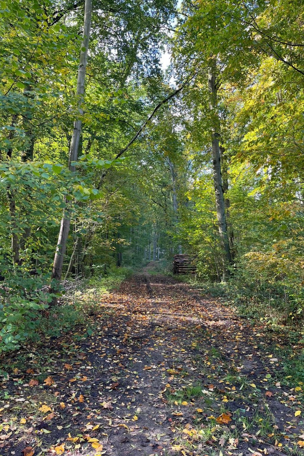 Landurlaub Mecklenburgische Seenplatte b. Waren Müritz-Inside