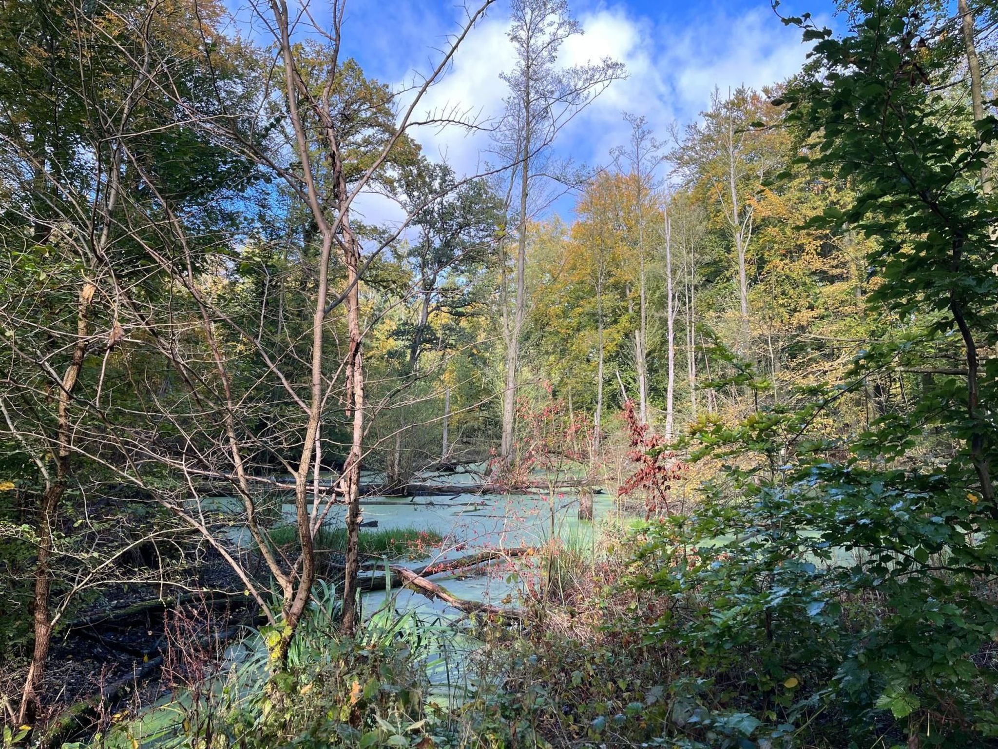 Landurlaub Mecklenburgische Seenplatte b. Waren Müritz-Inside