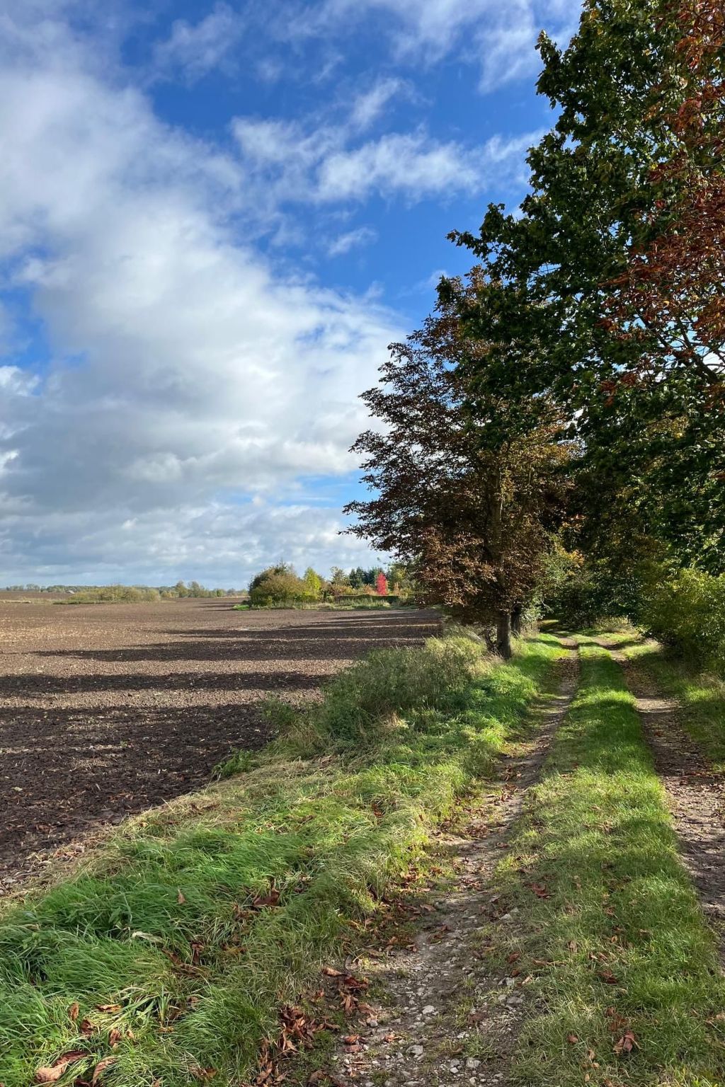 Landurlaub Mecklenburgische Seenplatte b. Waren Müritz