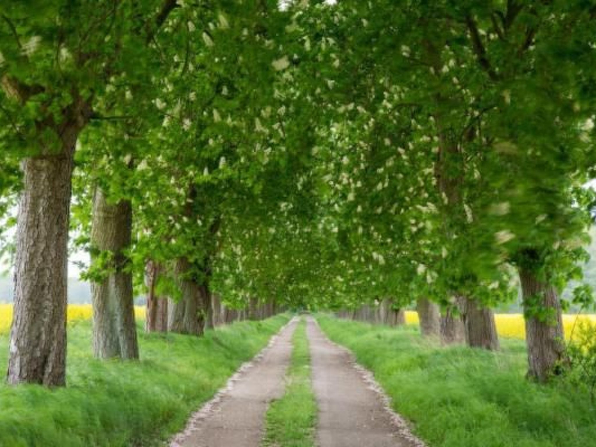 Uferpromenade 1 EG-Image-tags.info