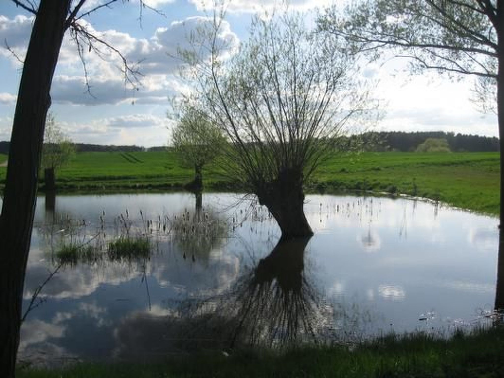 Brennerei Haselberg-Image-tags.info