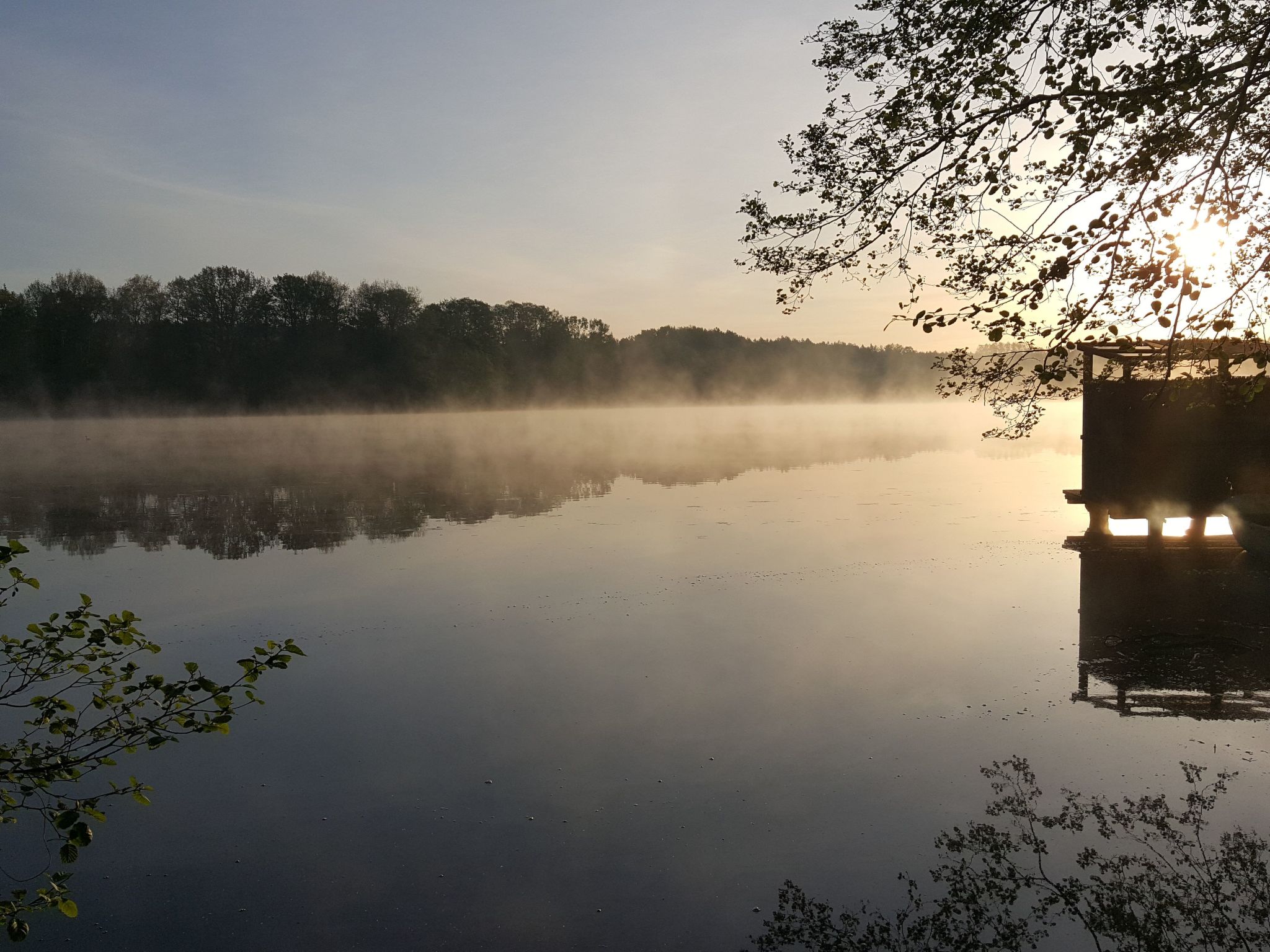 Bungalow Waldidyll-Binnen