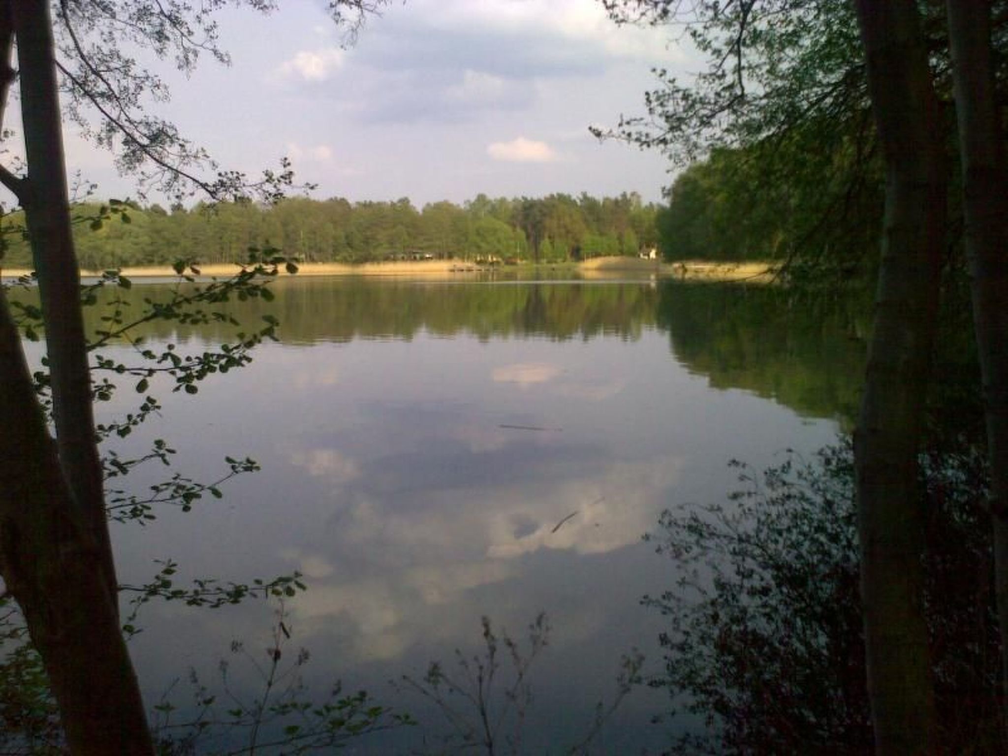 Bungalow Waldidyll-Binnen