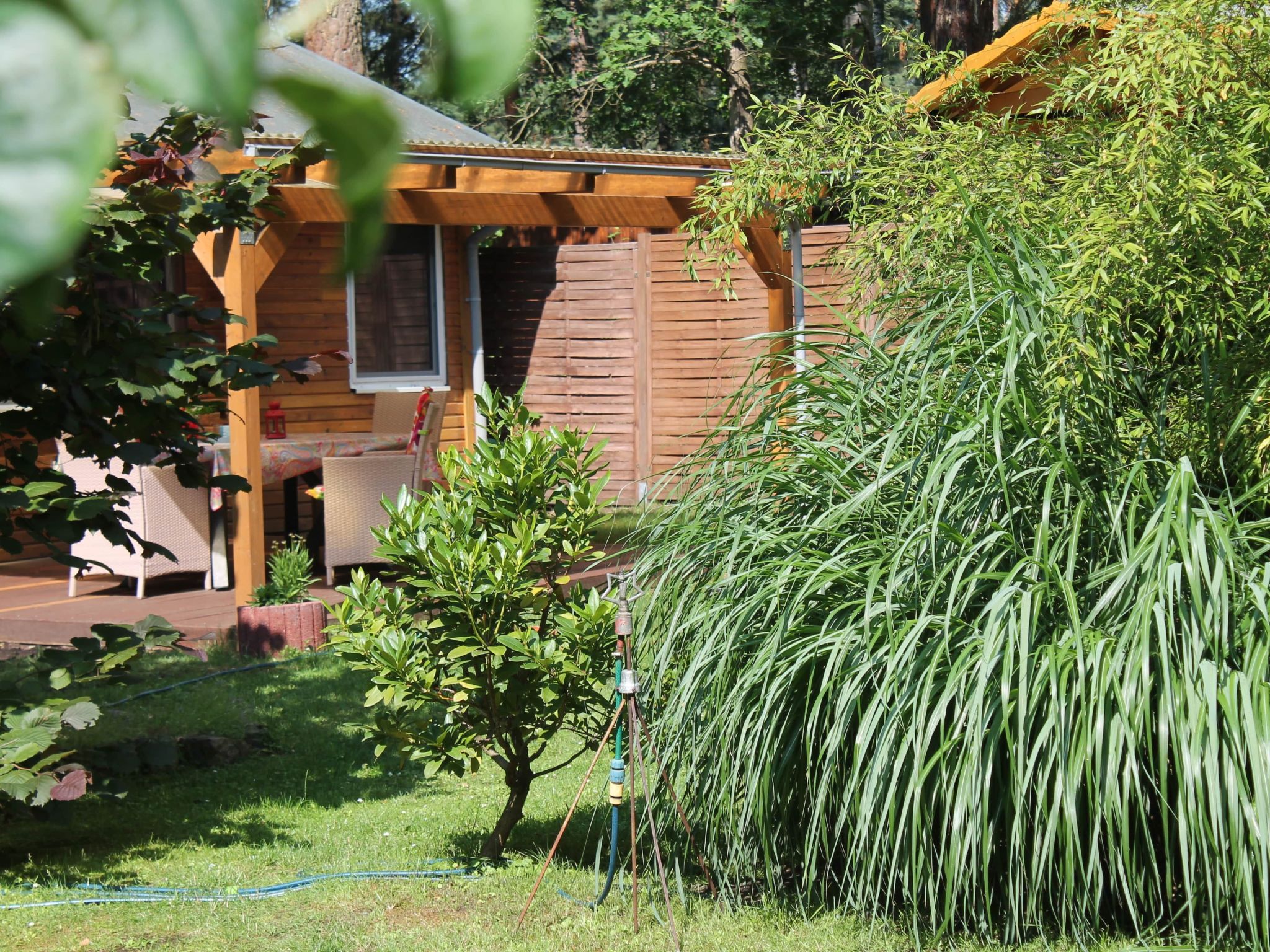 Bungalow Waldidyll-Binnen