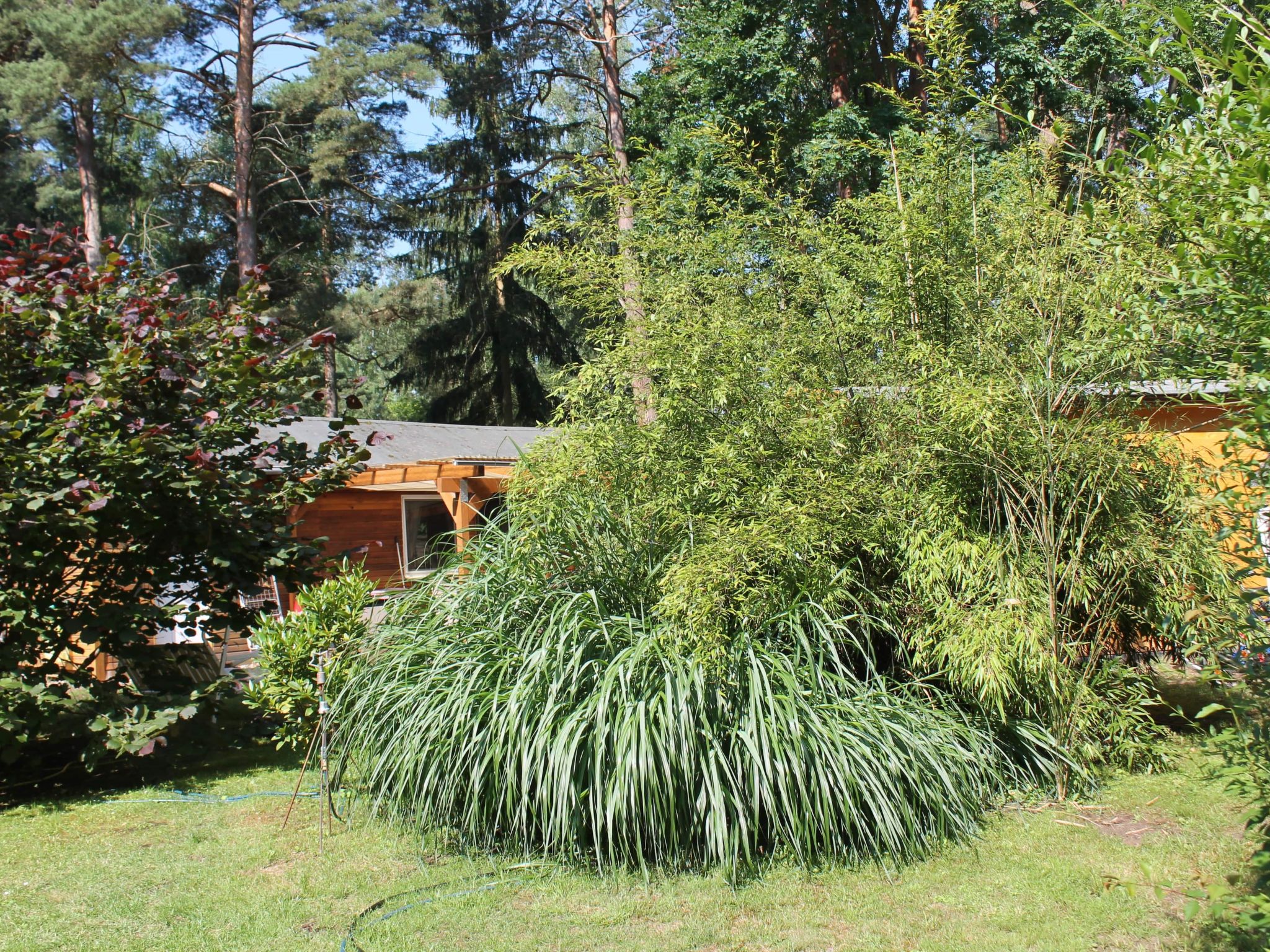 Bungalow Waldidyll-Binnen