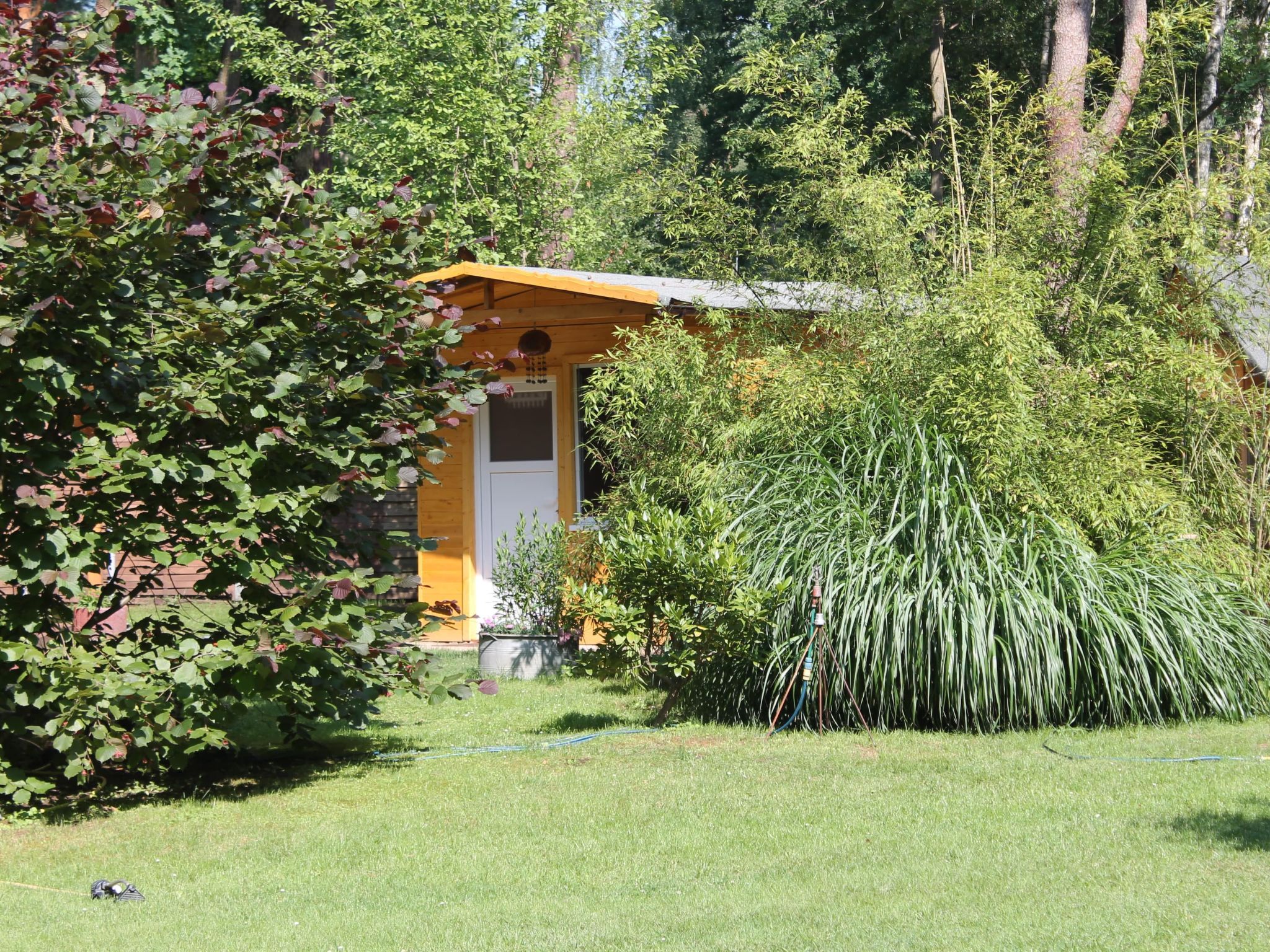 Bungalow Waldidyll-Binnen