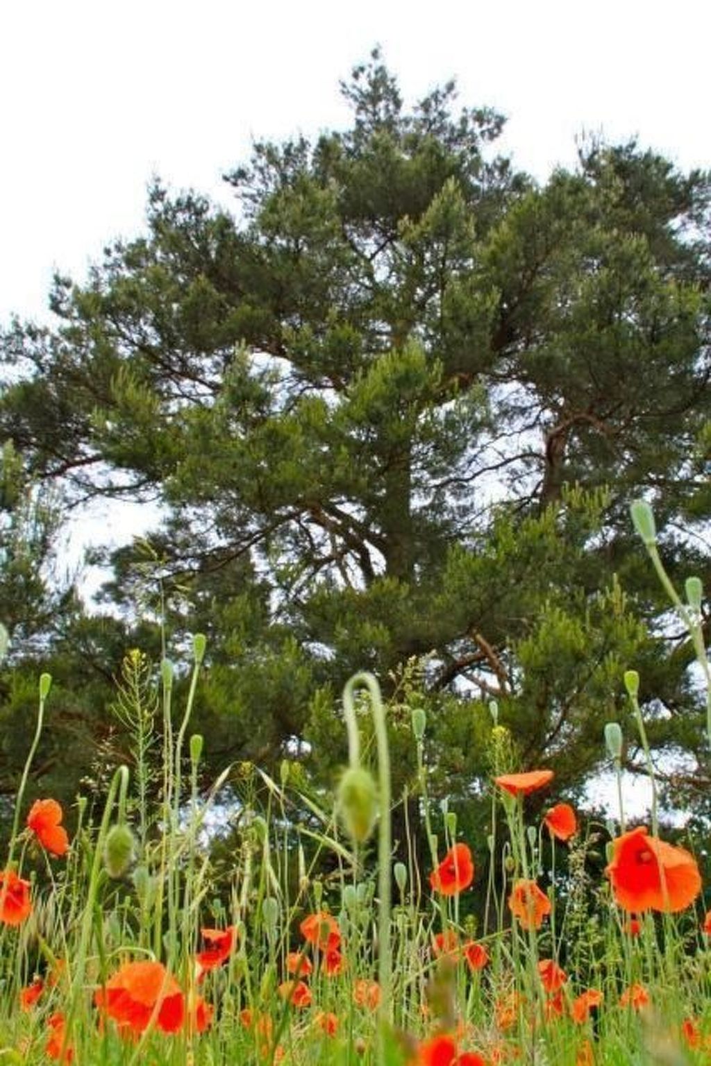 Haus am Feld 2-Image-tags.info