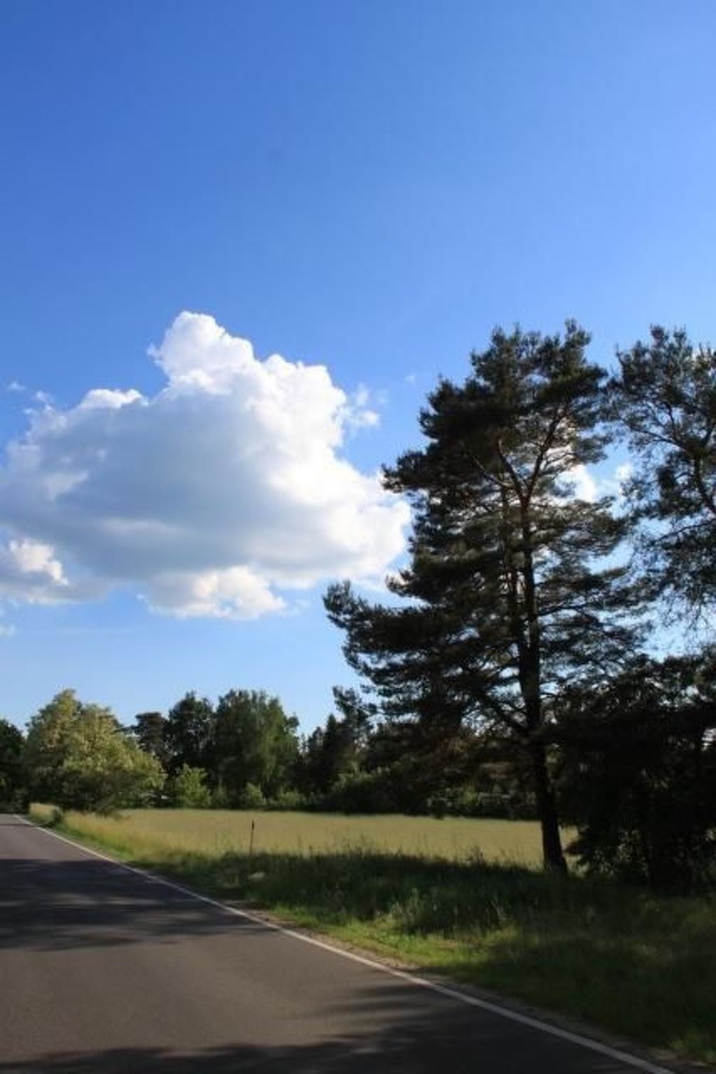 Haus am Feld 2-Image-tags.info