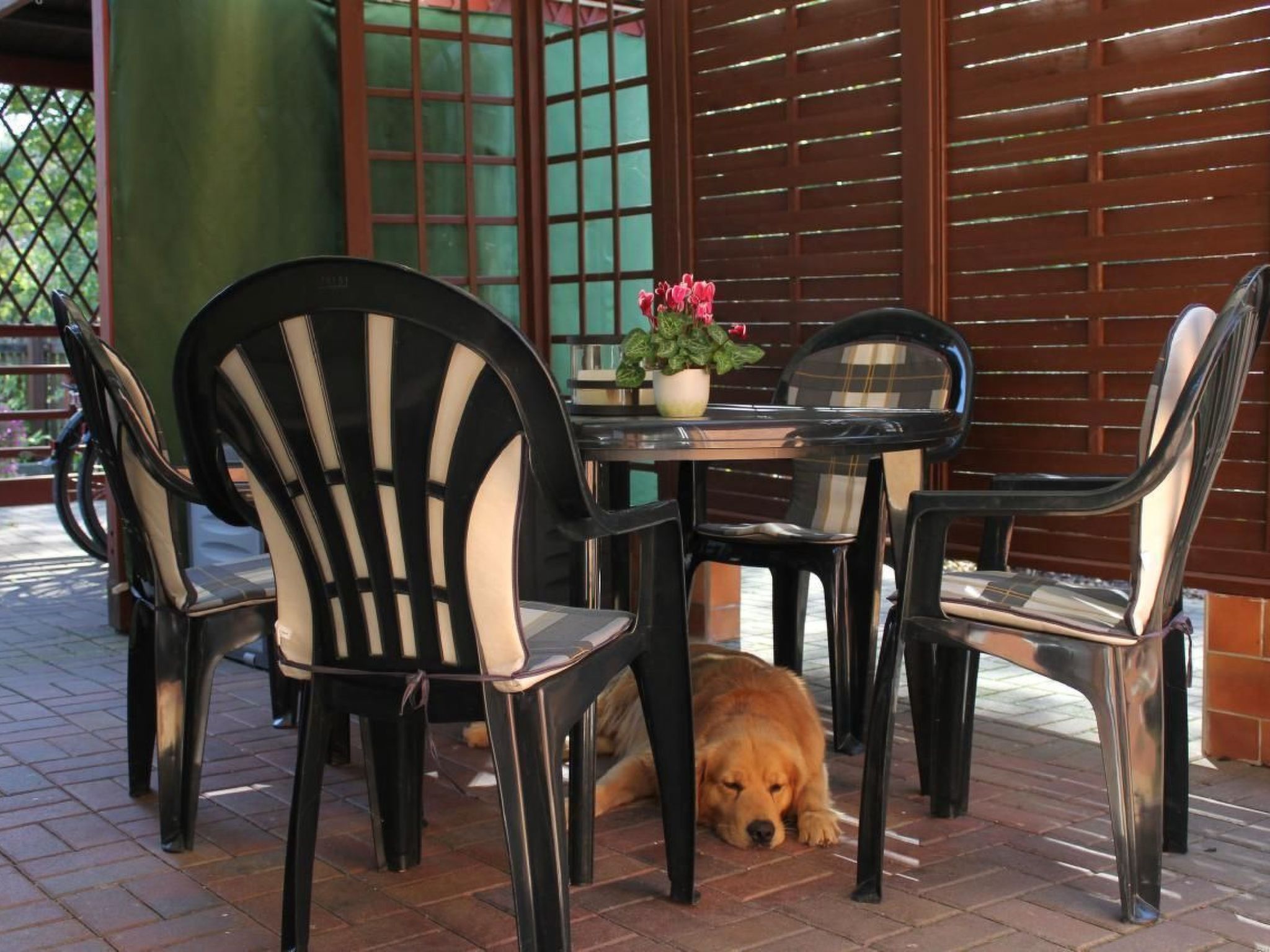 In Alt-Schadow mit Grill und Terrasse-Binnen