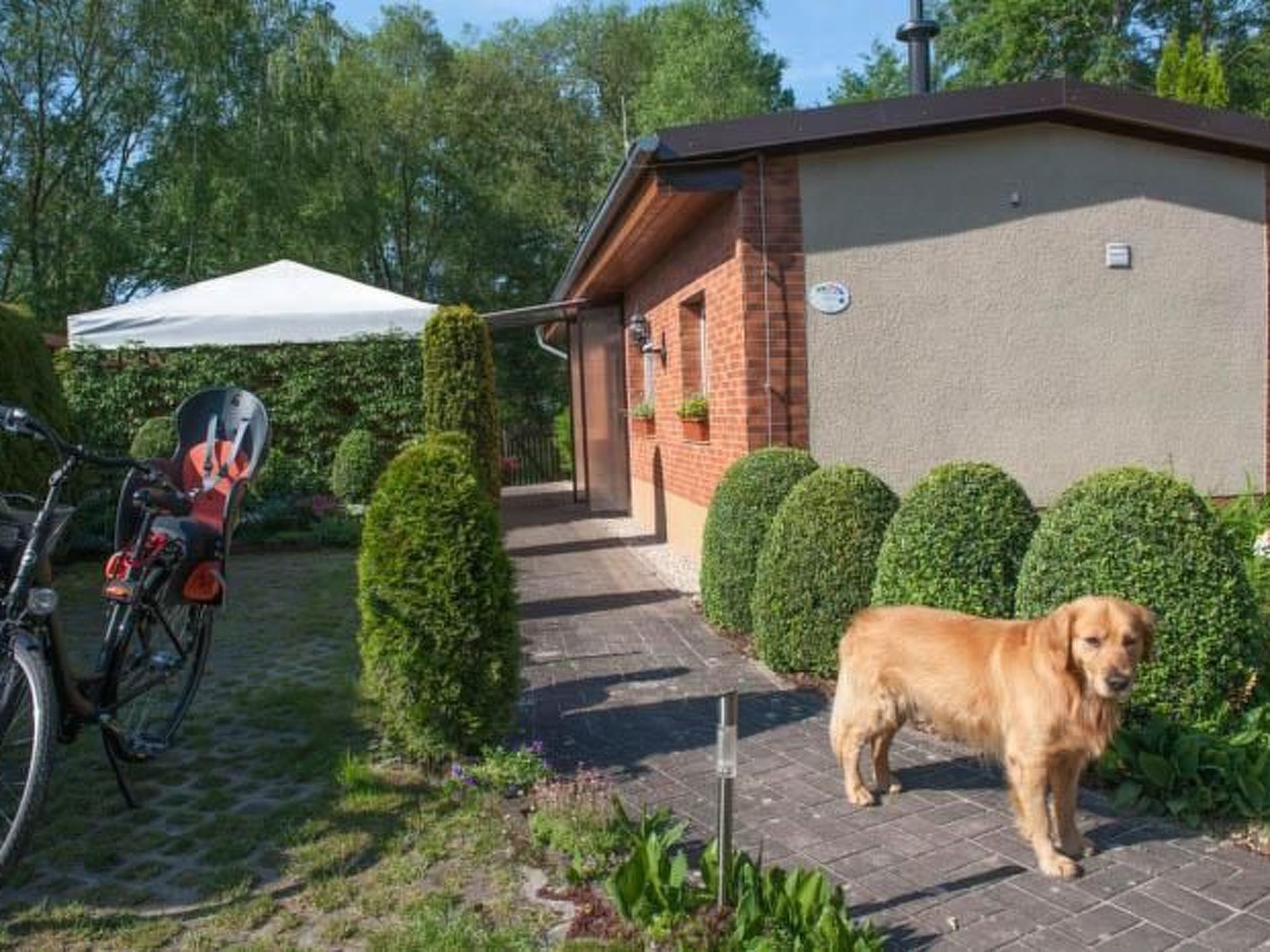 In Alt-Schadow mit Grill und Terrasse-Binnen