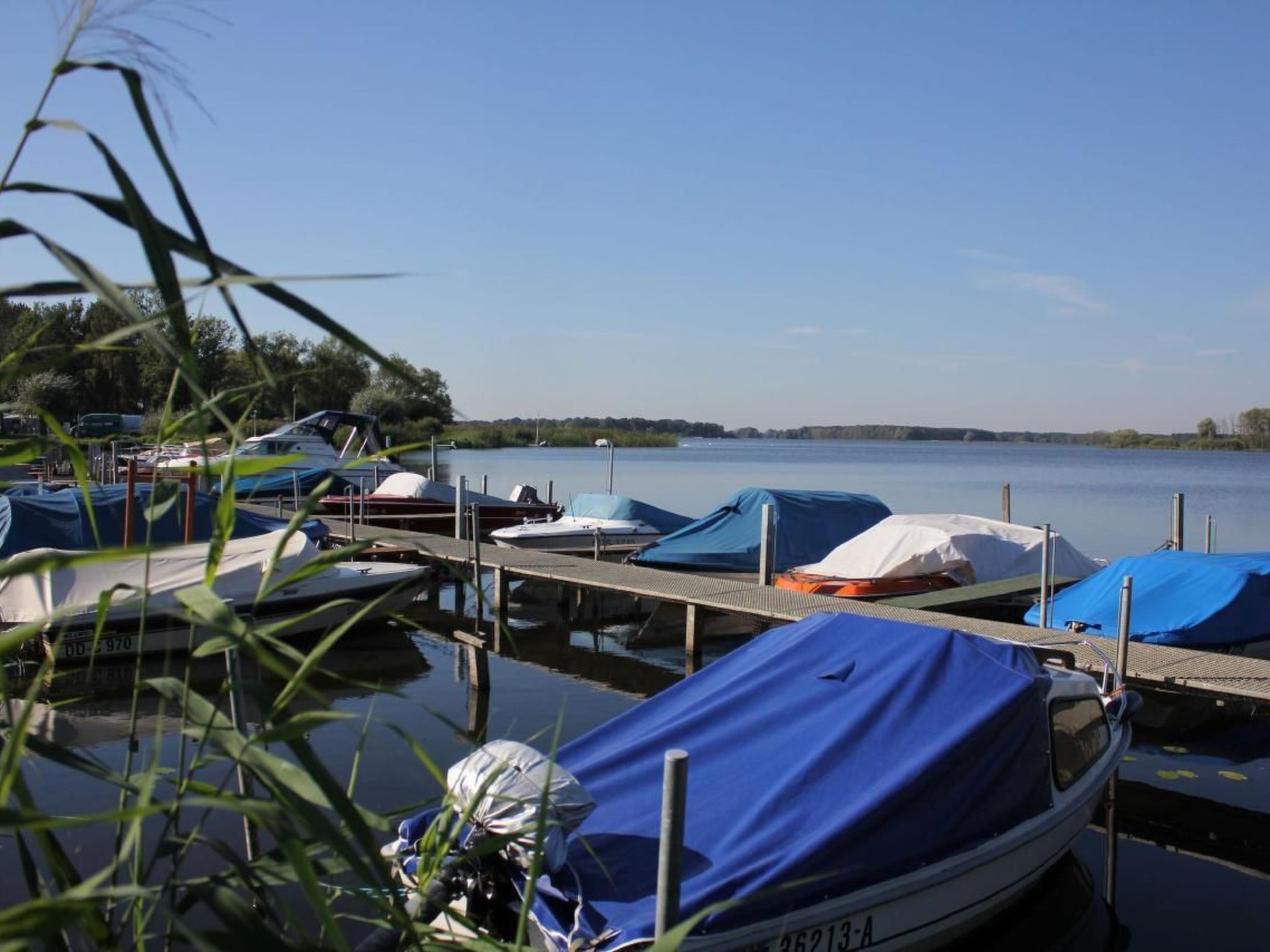 In Alt-Schadow mit Grill und Terrasse-Binnen