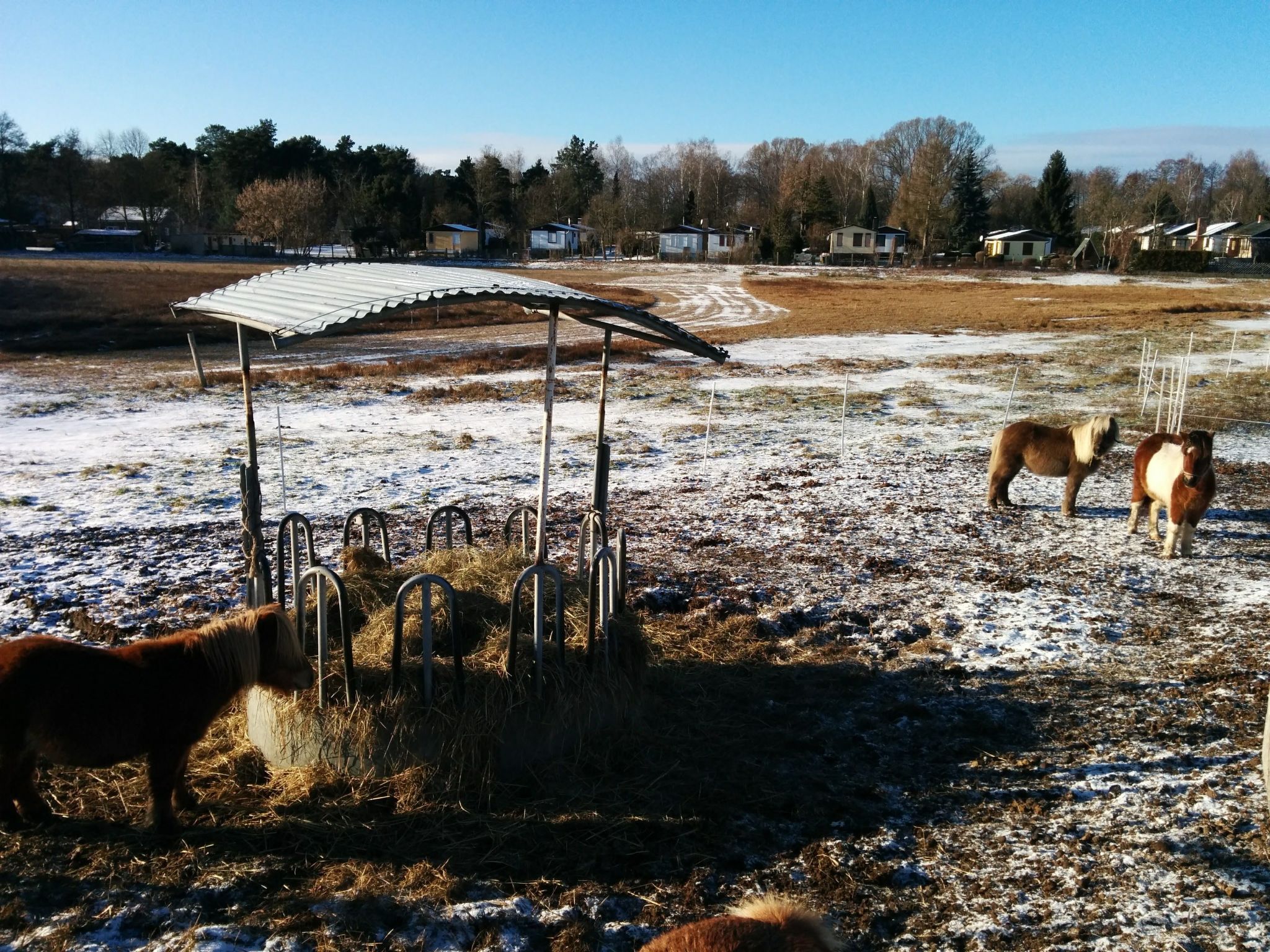 Am Schwielochsee-Binnen