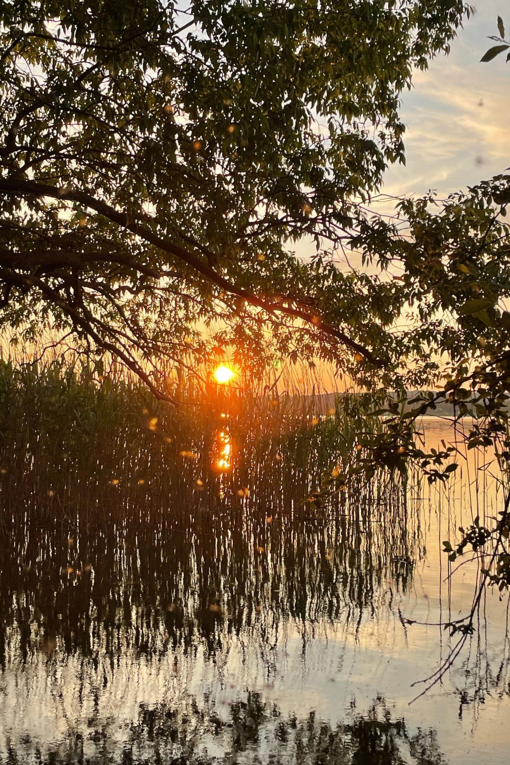 In Dahmen Terrasse und Grill-Dedans