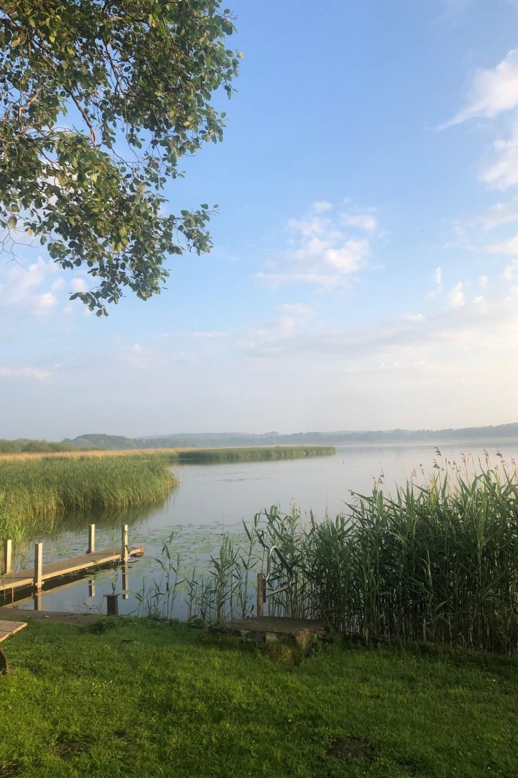 In Dahmen Terrasse und Grill-Dedans