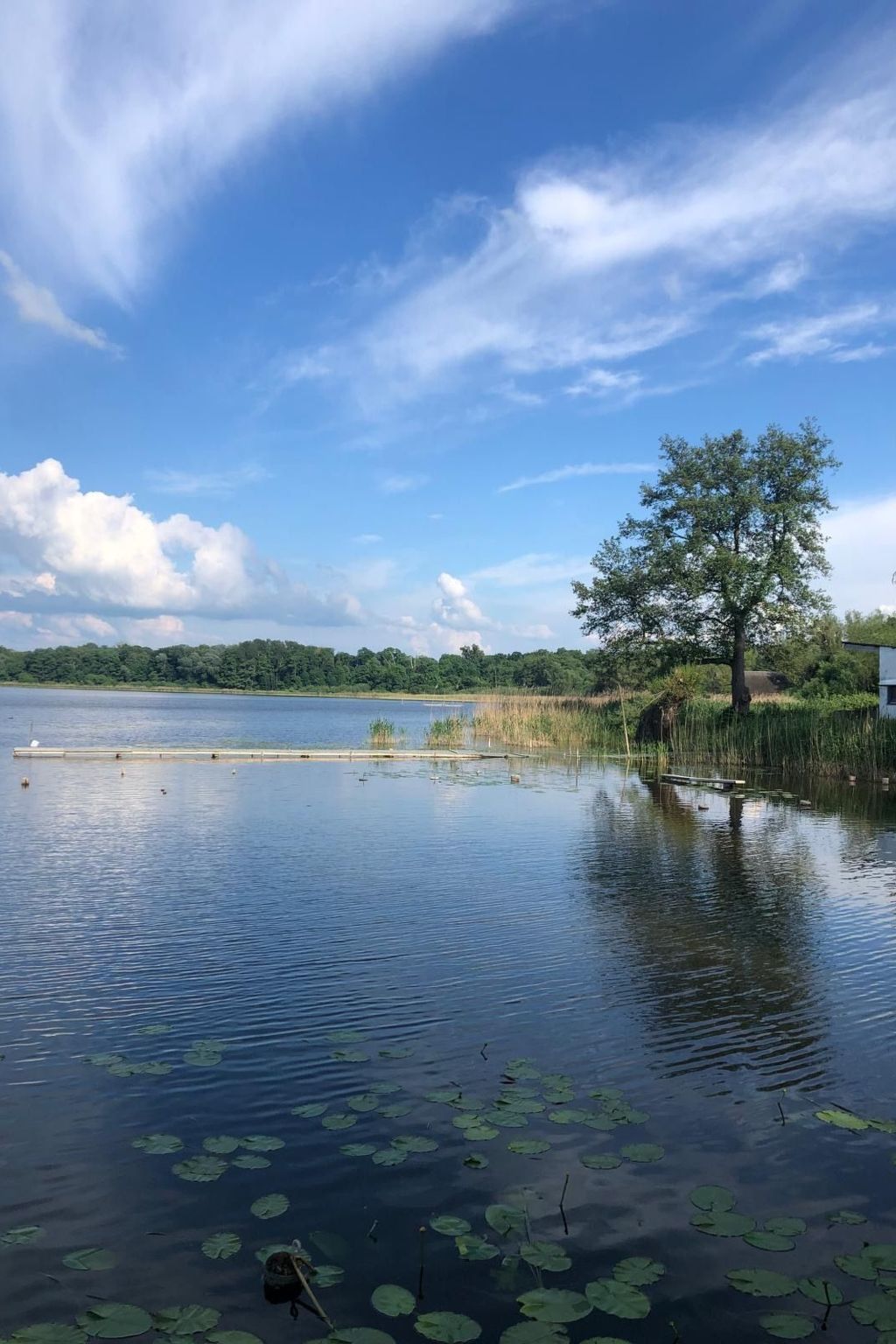 In Dahmen Terrasse und Grill-Dedans