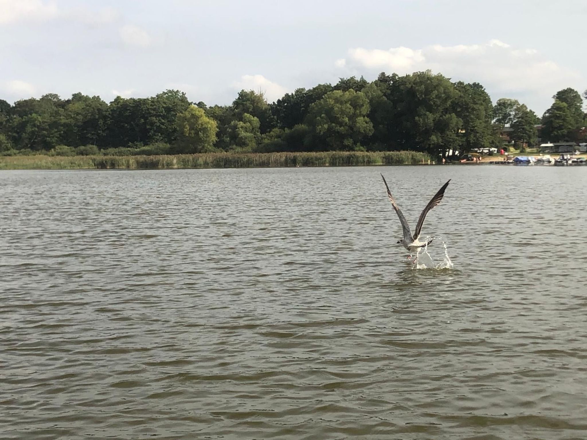In Dahmen Terrasse und Grill