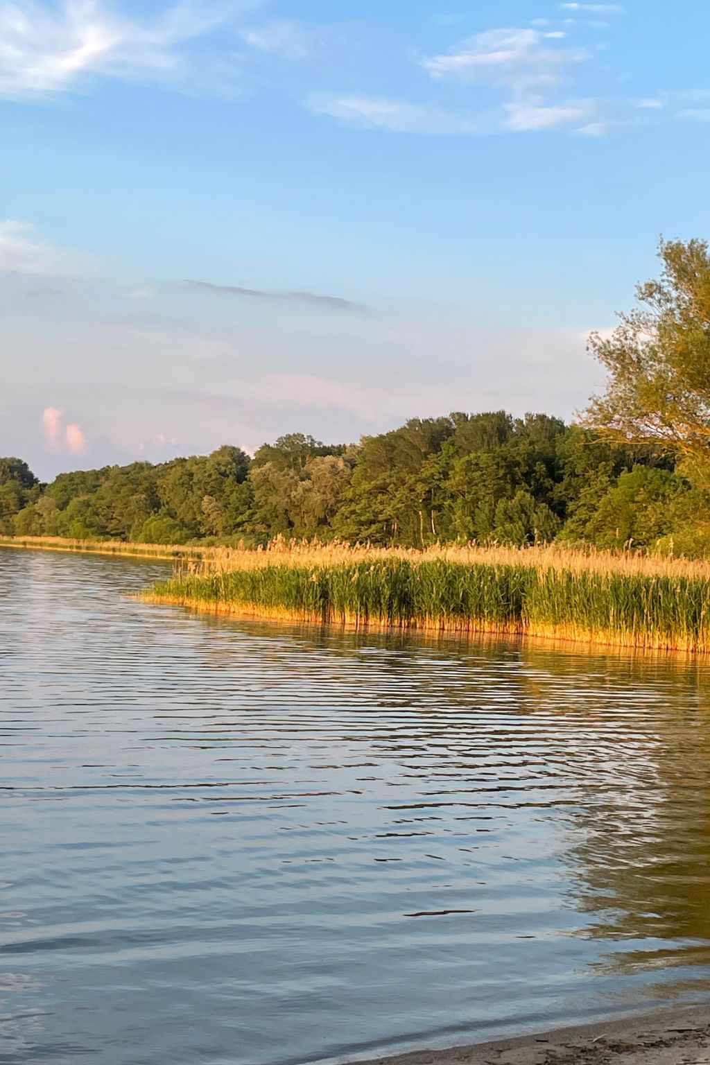 Mit Sauna und Kaminofen-Binnen