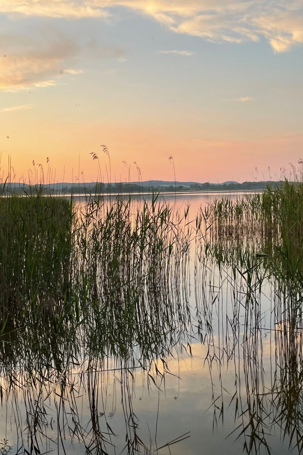Mit Sauna und Kaminofen-Binnen