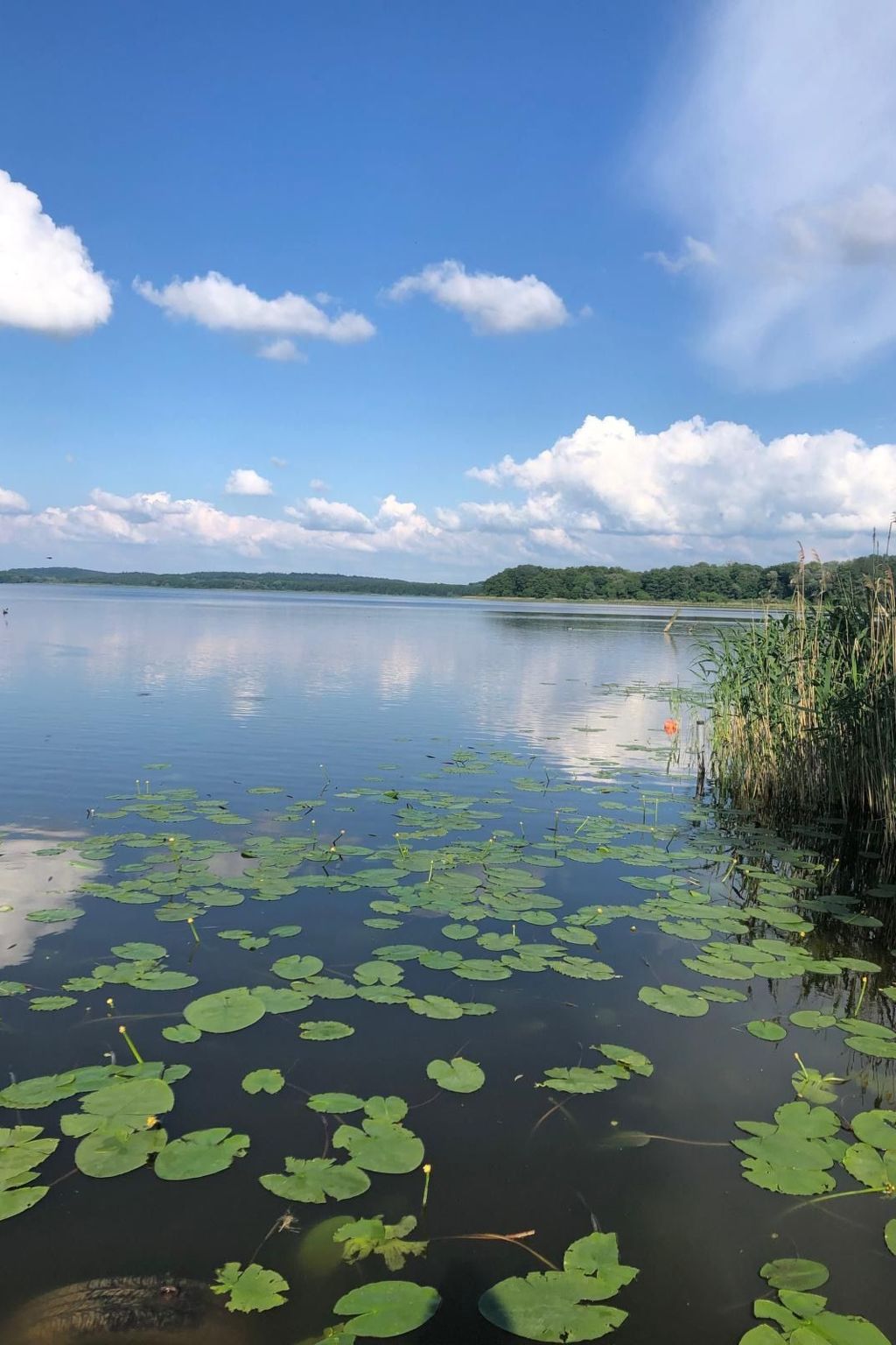 Mit Sauna und Kaminofen-Binnen