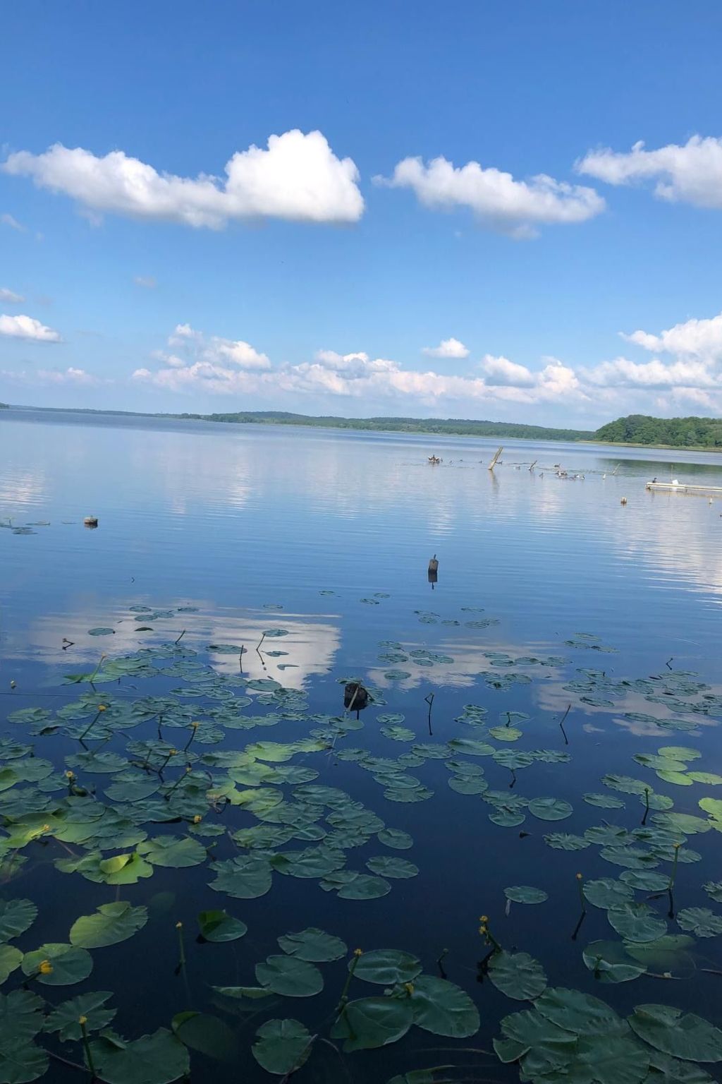 Mit Sauna und Kaminofen-Binnen