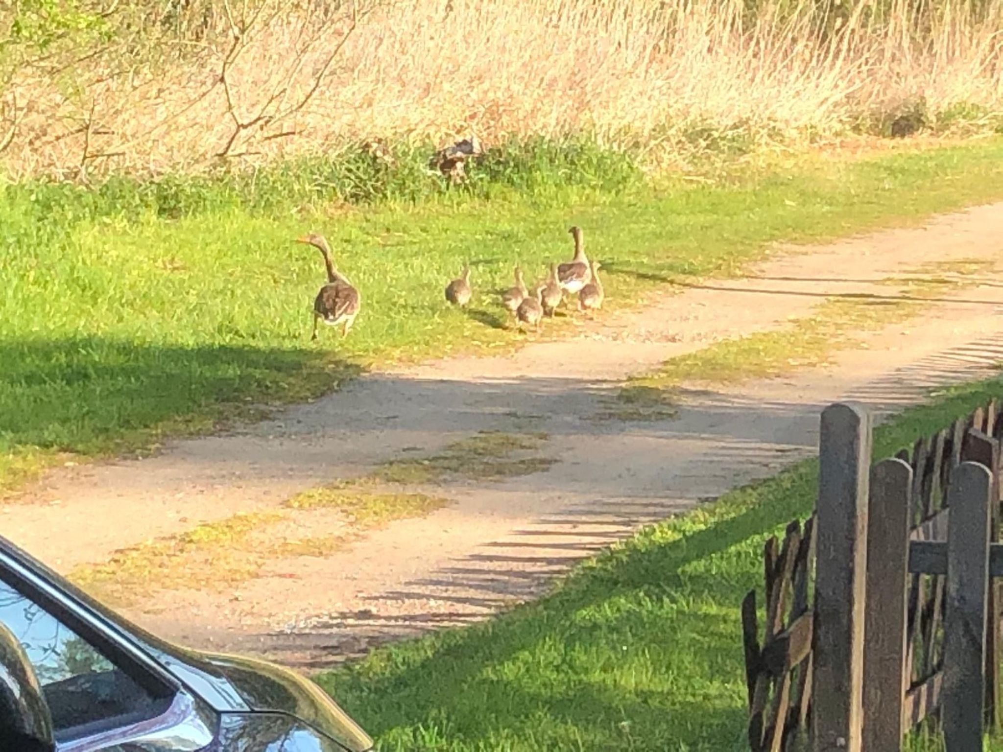 Mit Sauna und Kaminofen
