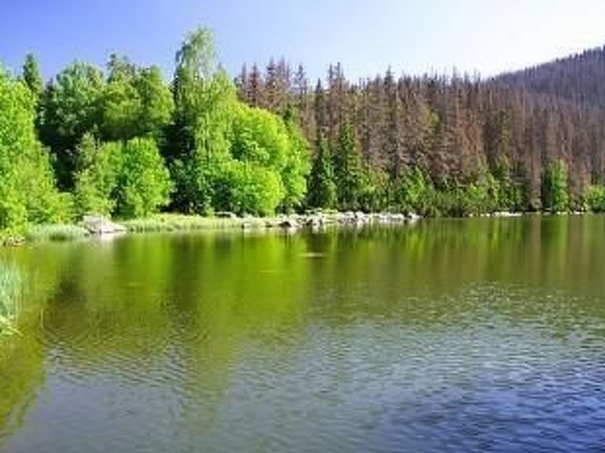 Pfenniggeiger- Hütte-Binnen