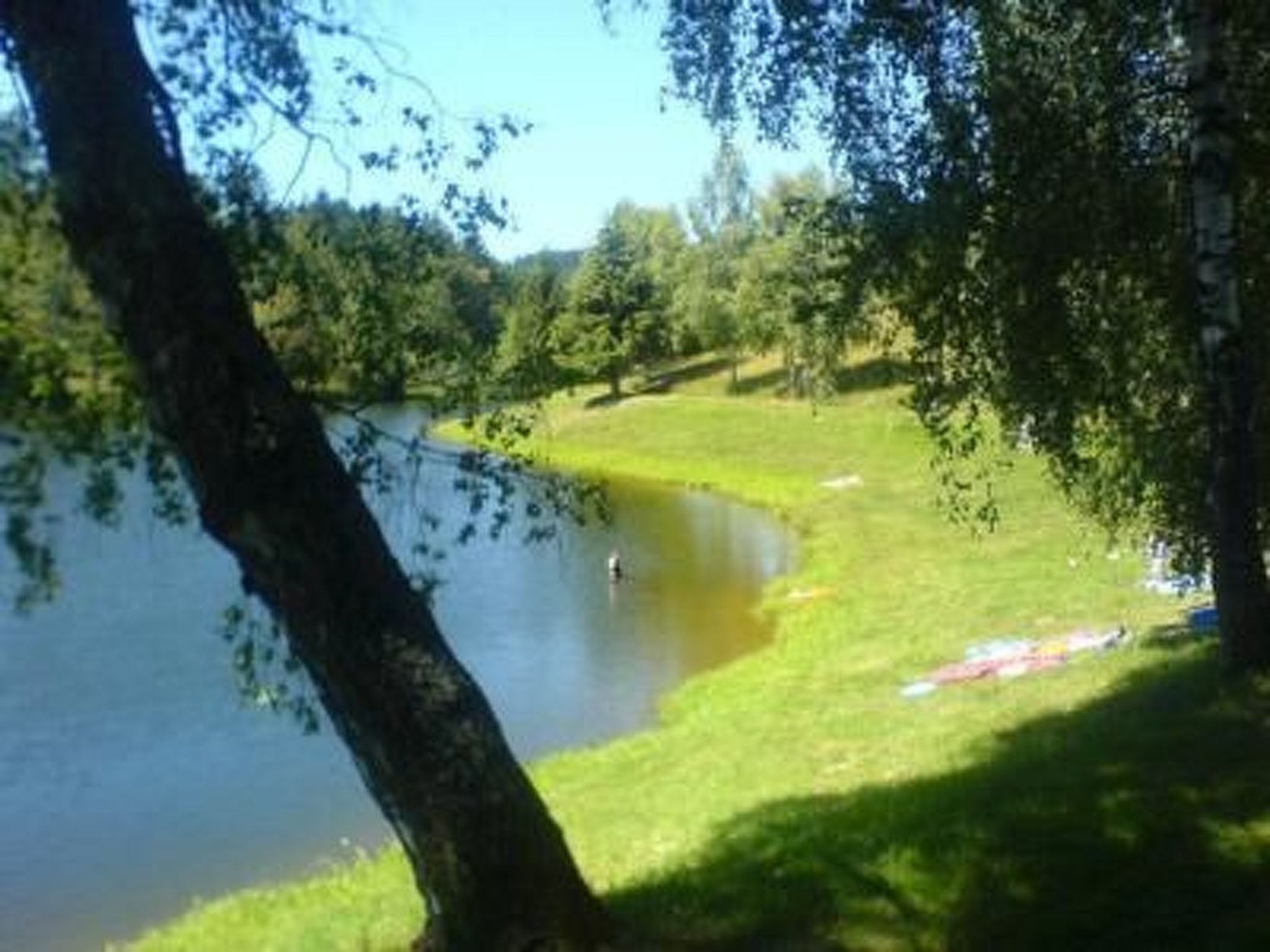 Chalet  " Jagdhaus"-Binnen