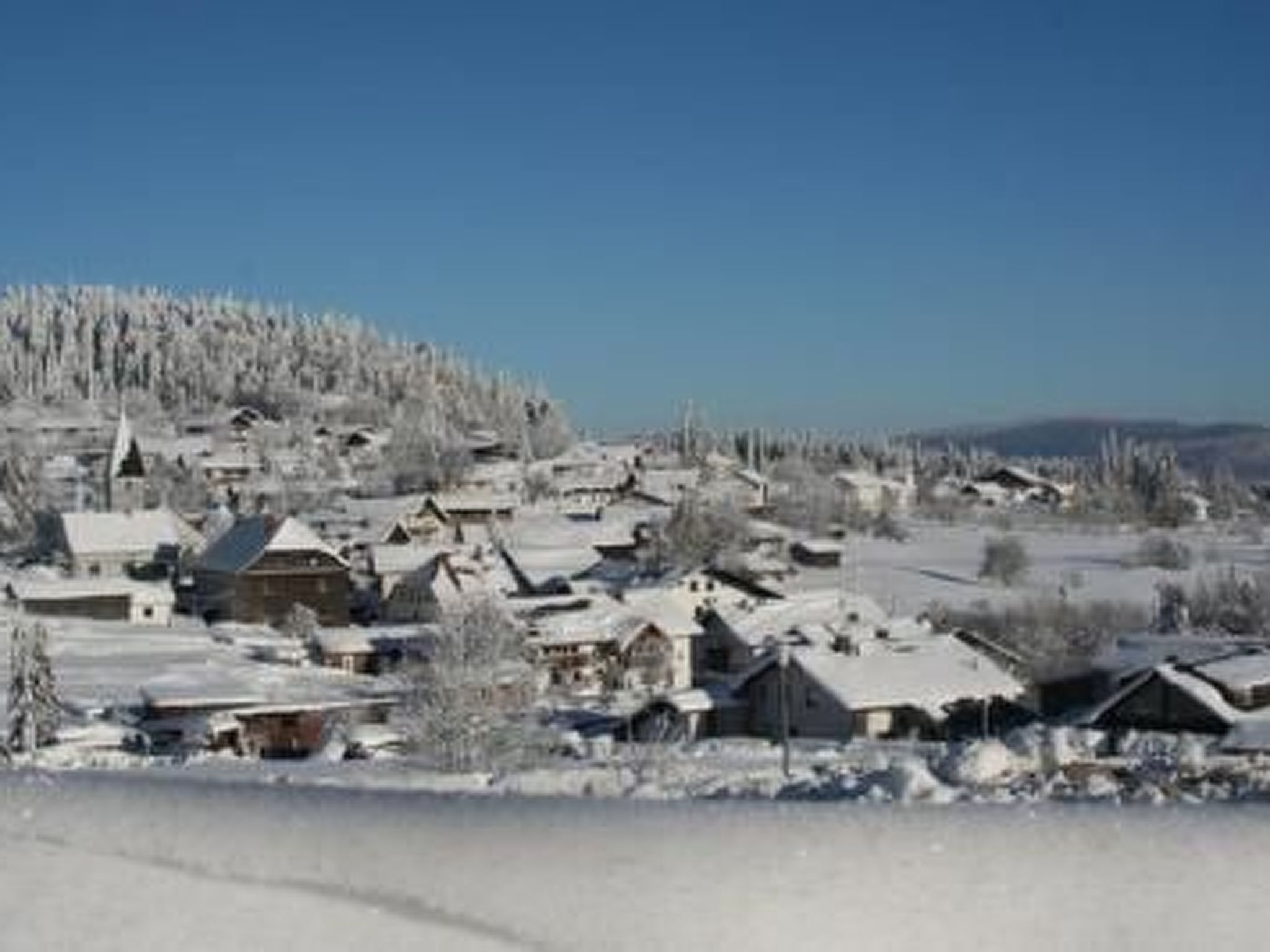 Chalet  " Jagdhaus"-Binnen