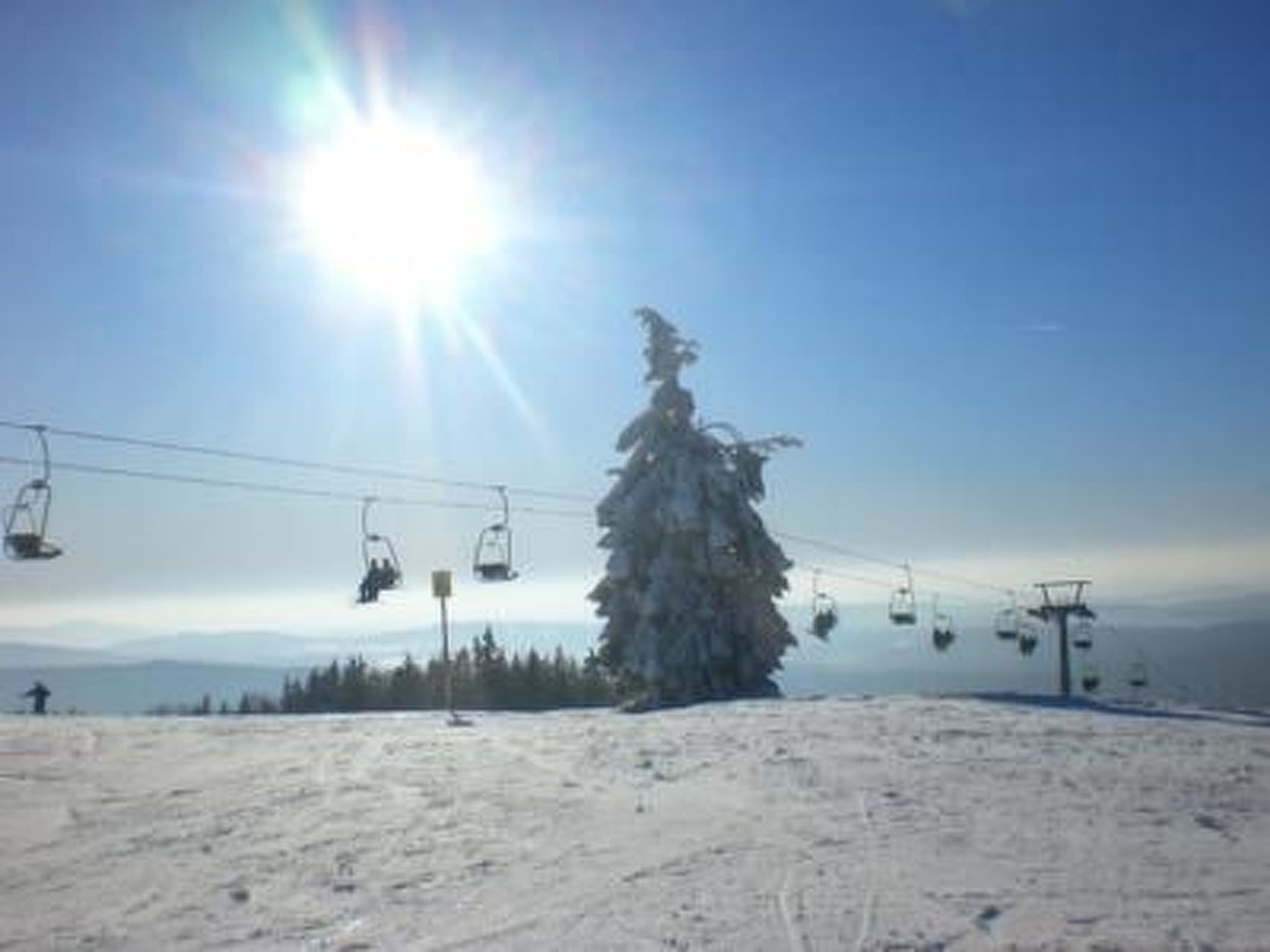 Chalet  " Jagdhaus"-Binnen