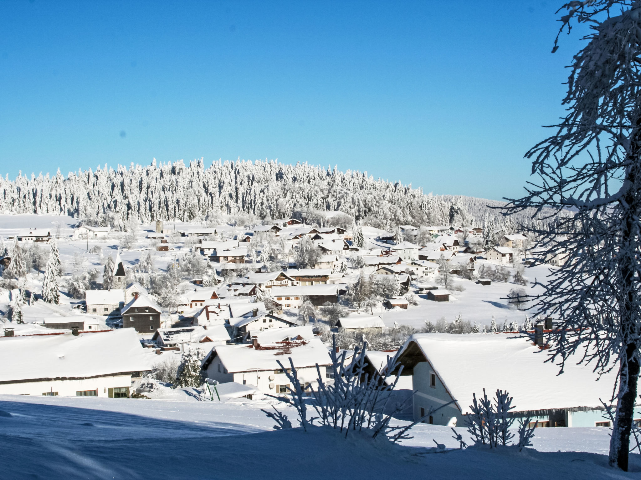 Bayerwaldblockhaus: Luxe vrijstaand vakantiehuis in de Beierse bossen - foto 17