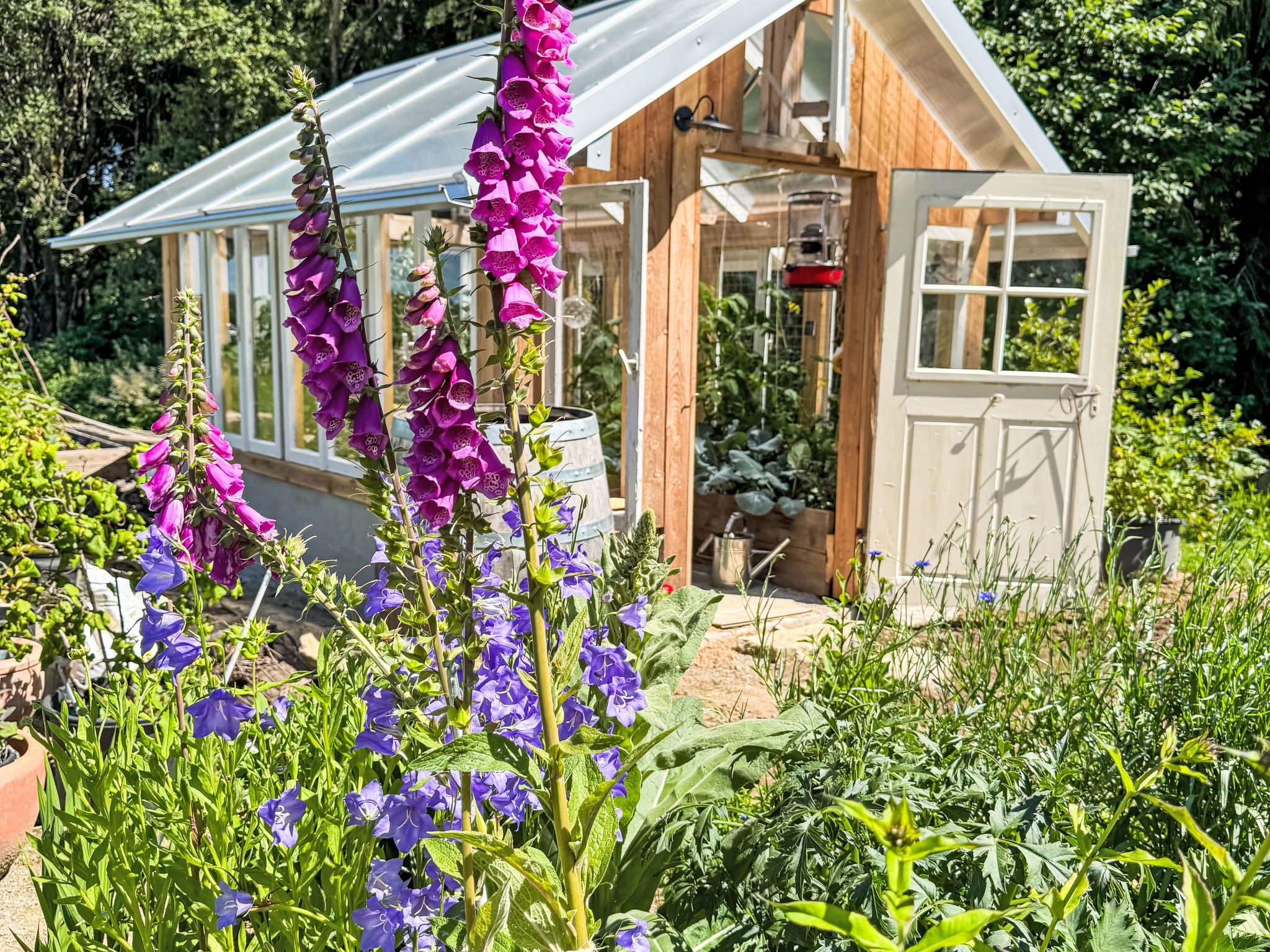 Bayerwaldblockhaus: Luxe vrijstaand vakantiehuis in de Beierse bossen - foto 23