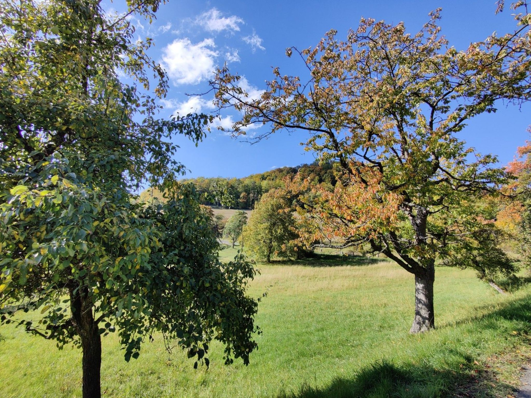 In Holzhausen mit Grill und Terrasse-Image-tags.info