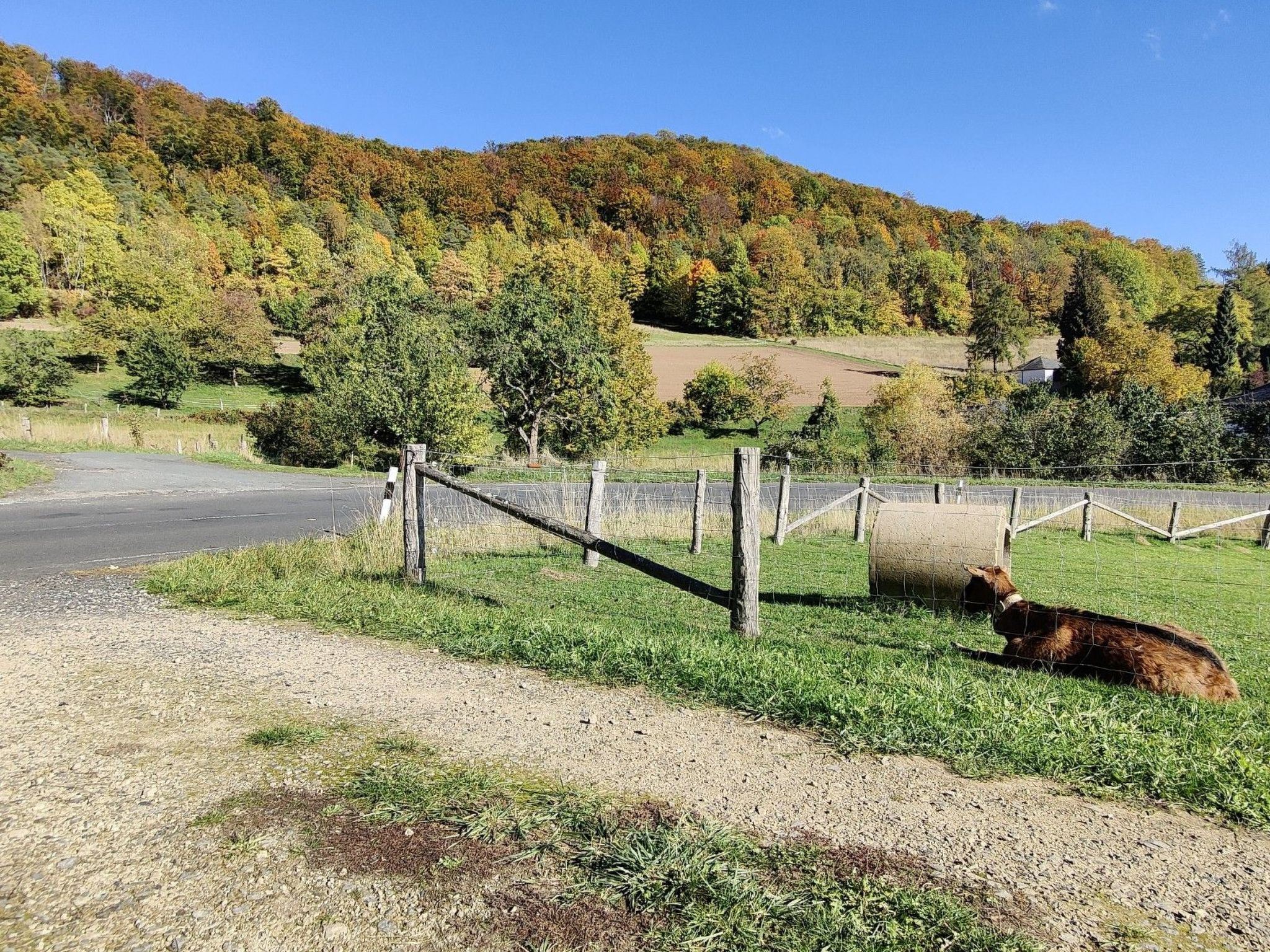 In Holzhausen mit Grill und Terrasse-Image-tags.info