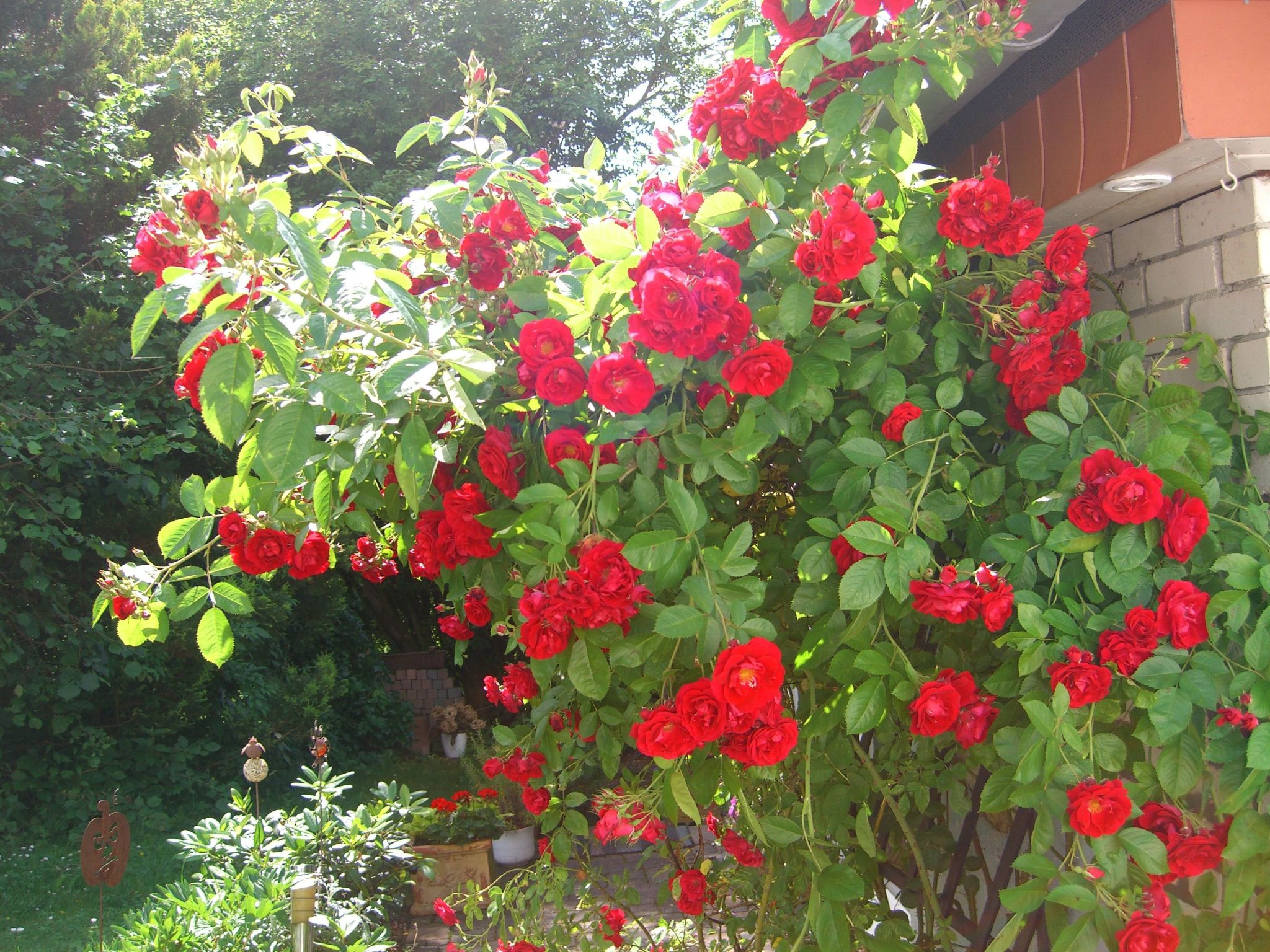 Gemütliches Ferienhaus in Fischbach Rhön-Binnen