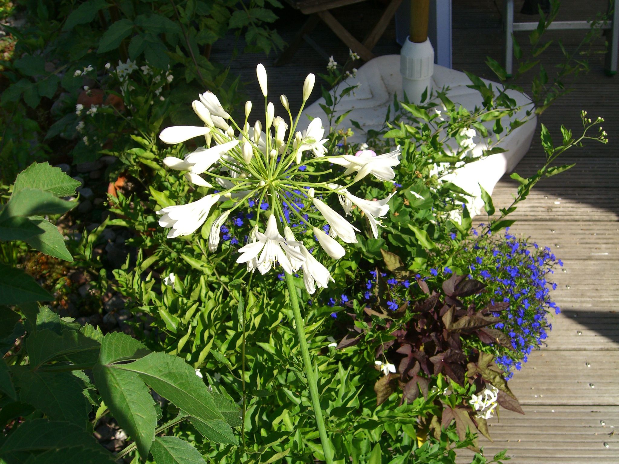 Gemütliches Ferienhaus in Fischbach Rhön-Binnen