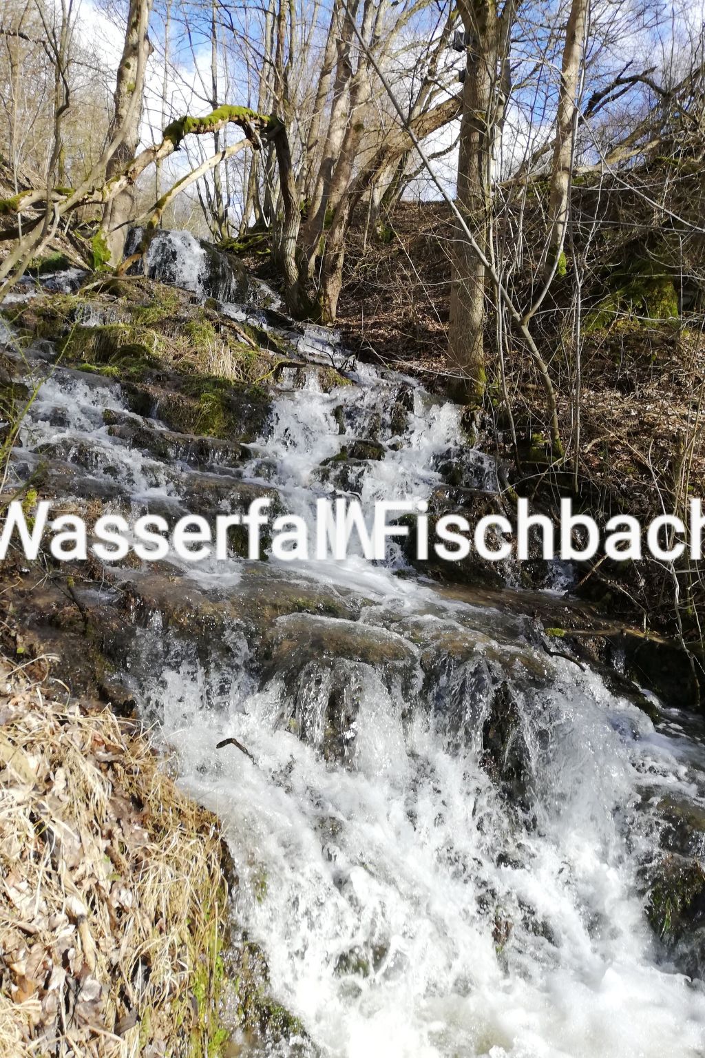 Gemütliches Ferienhaus in Fischbach Rhön-Binnen