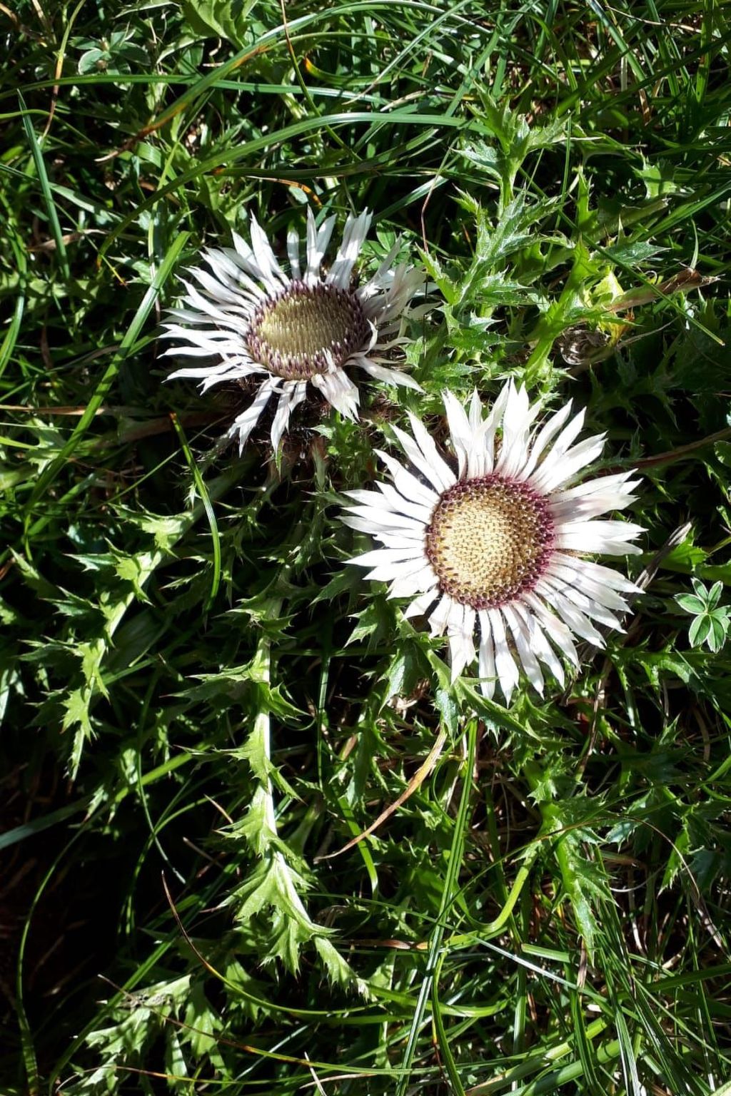 Gemütliches Ferienhaus in Fischbach Rhön-Binnen