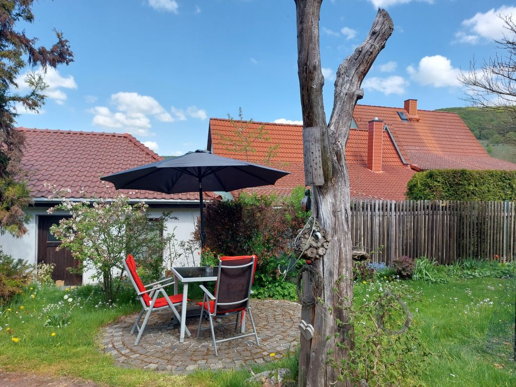 Bild 12
