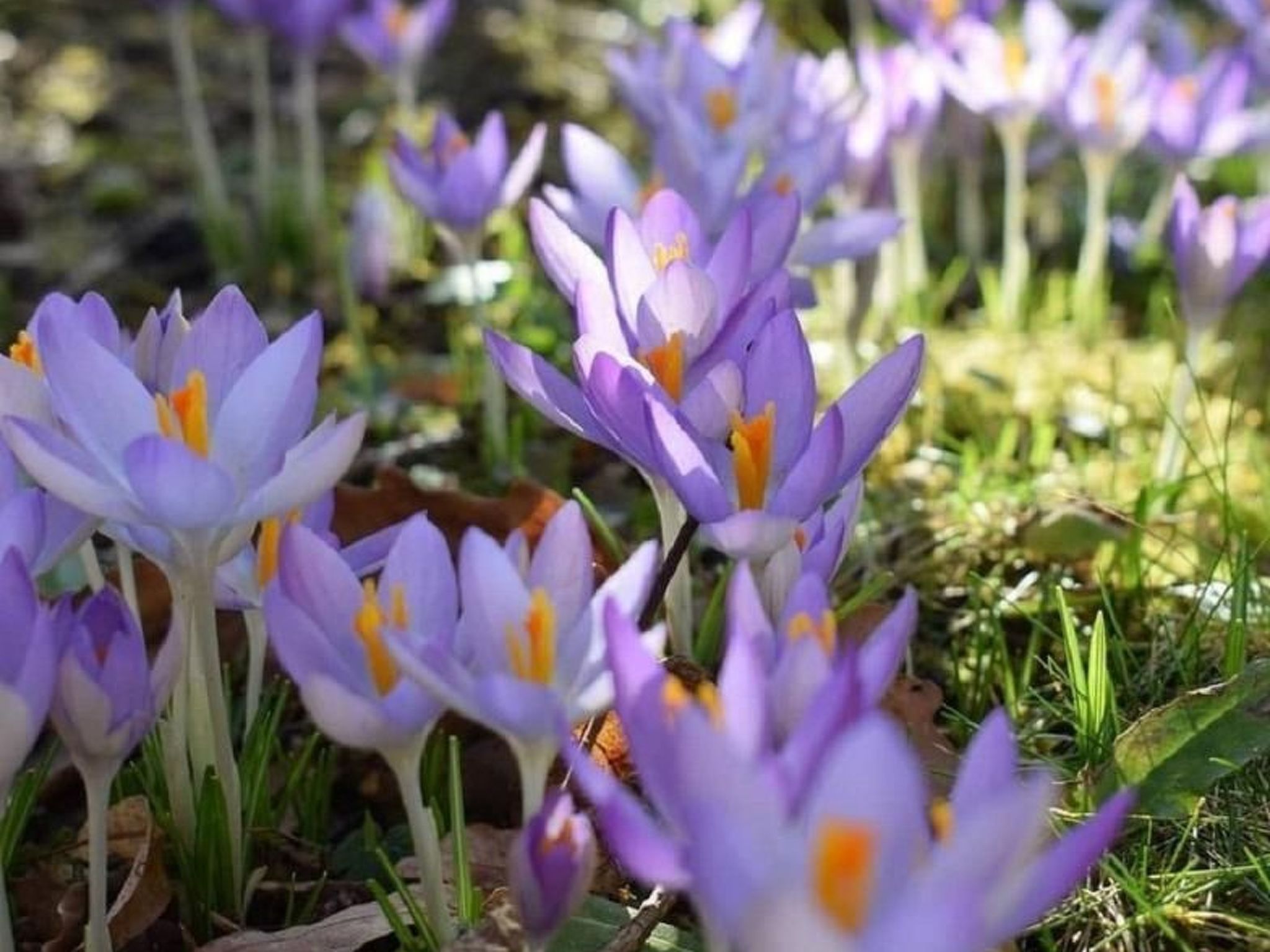 Stadt Apartement-Binnen