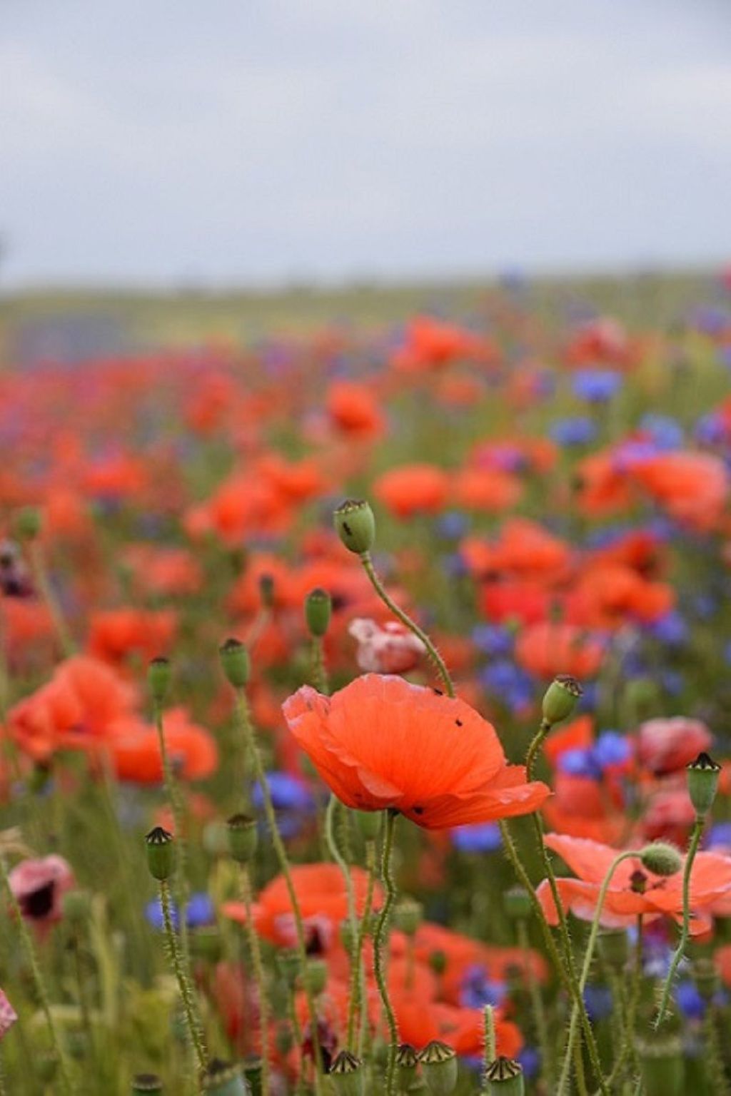 Stadt Apartement-Binnen