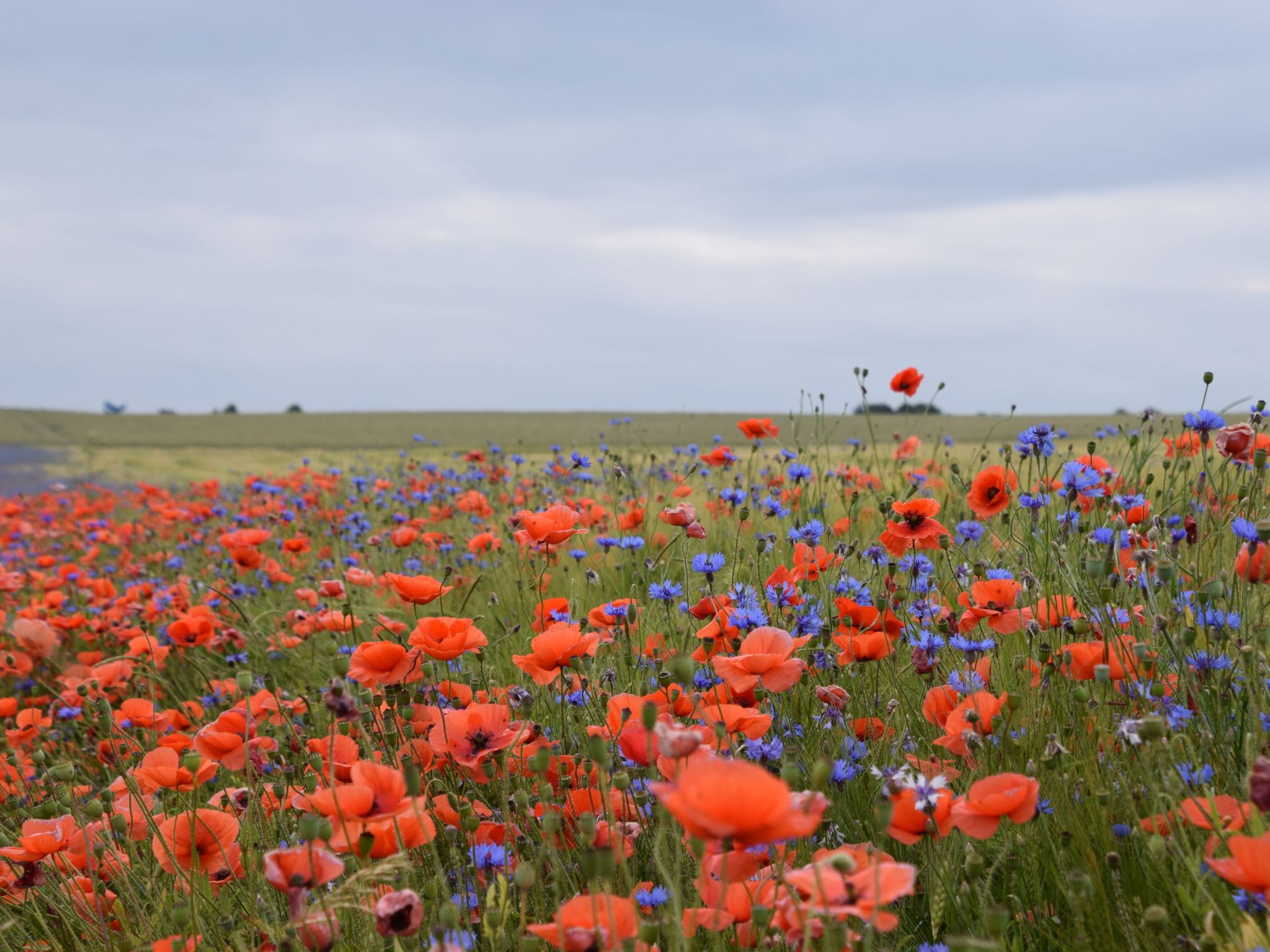 Stadt Apartement-Binnen