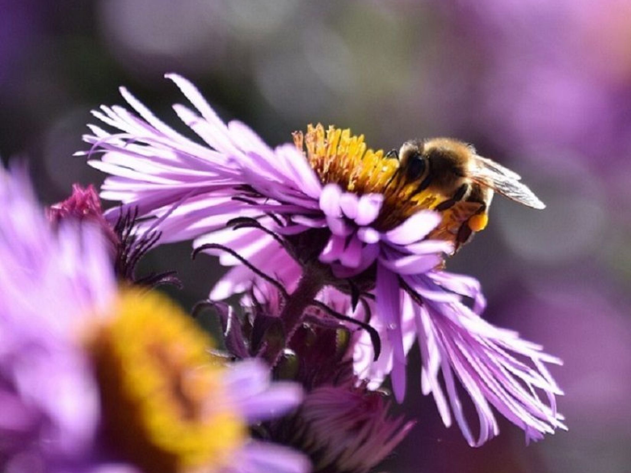 Stadt Apartement-Binnen