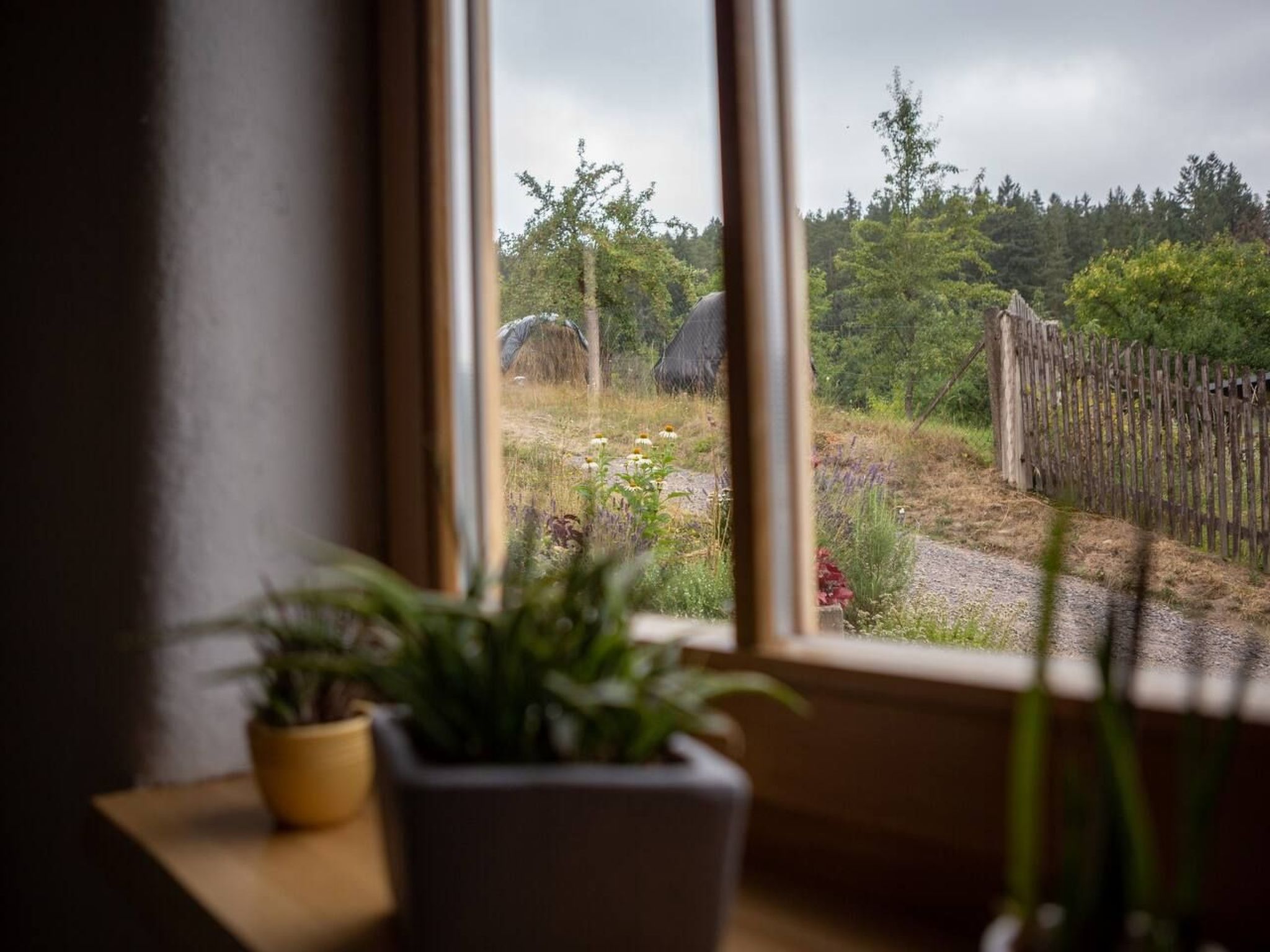 Komfortable Ferienwohnung in Paulinzella mit Großem Garten-Image-tags.info