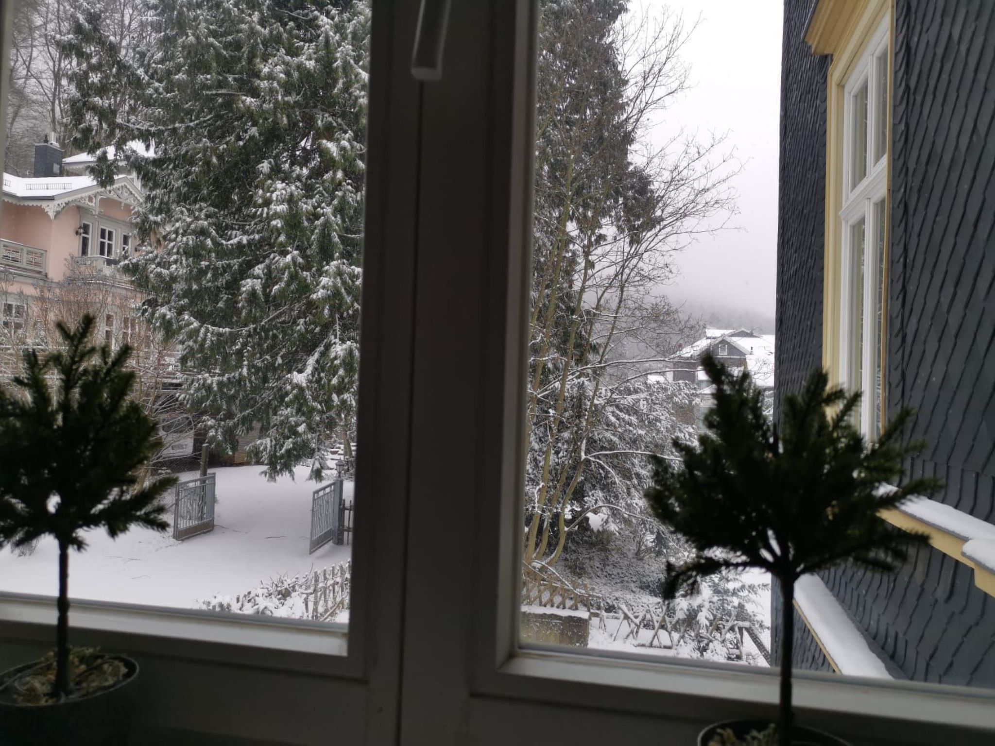 "Villa am Kurpark"-Image-tags.info