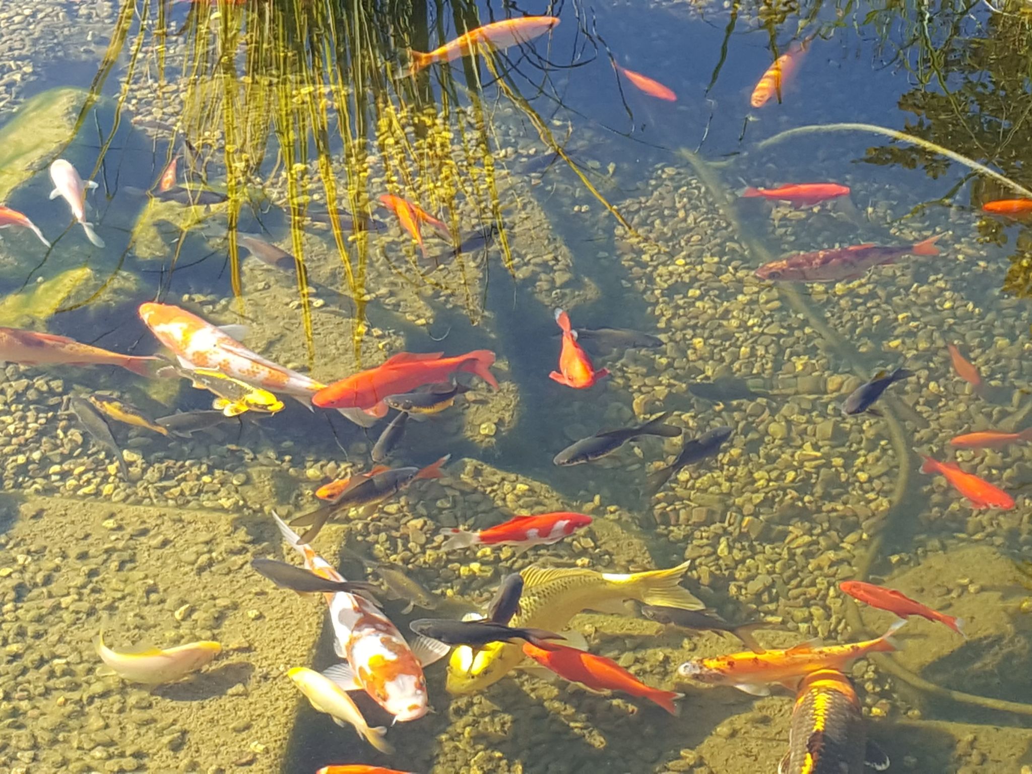 Komfortwohnung-Image-tags.info