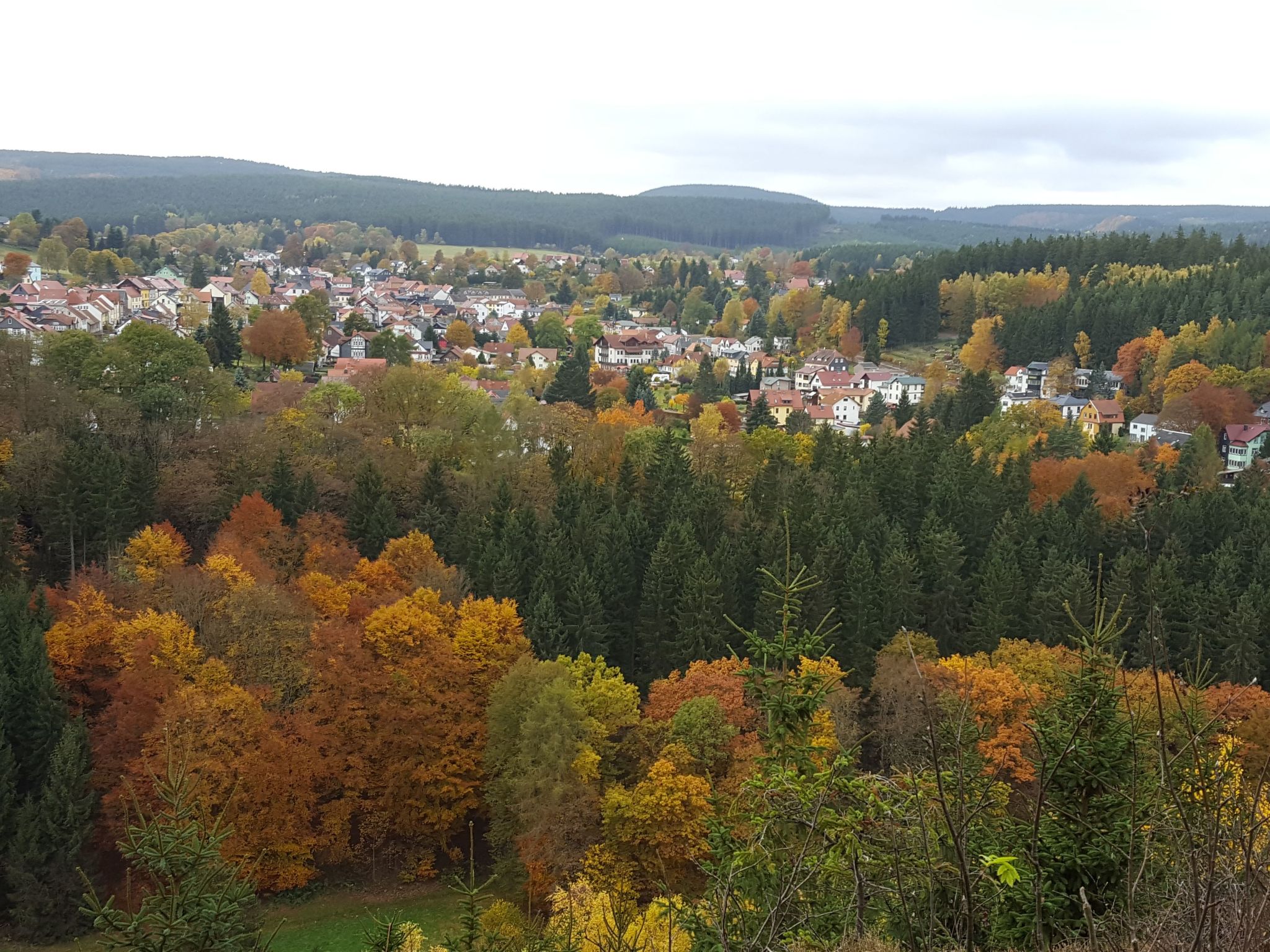 Komfortwohnung-Image-tags.info