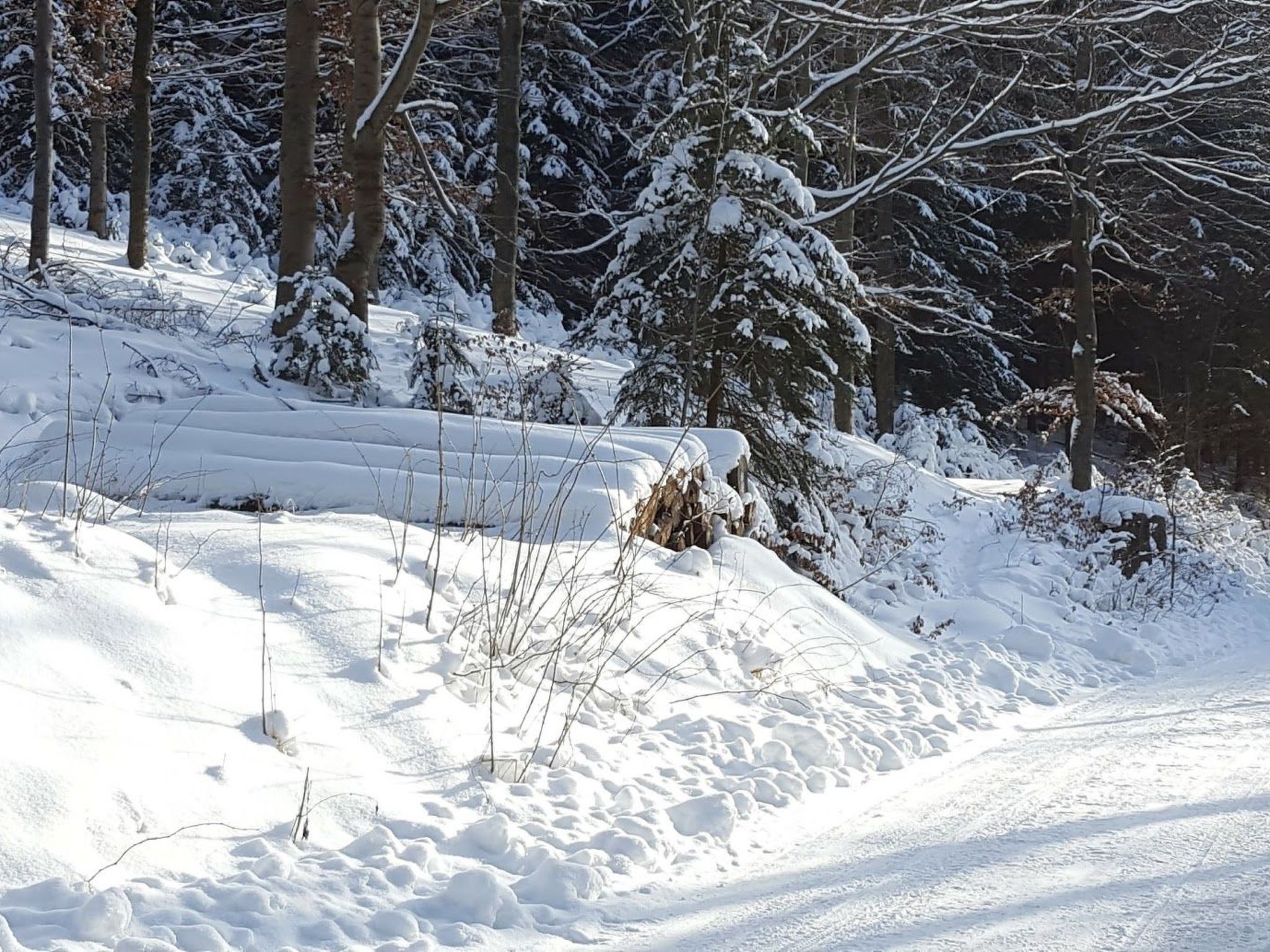 Komfortwohnung-Image-tags.info